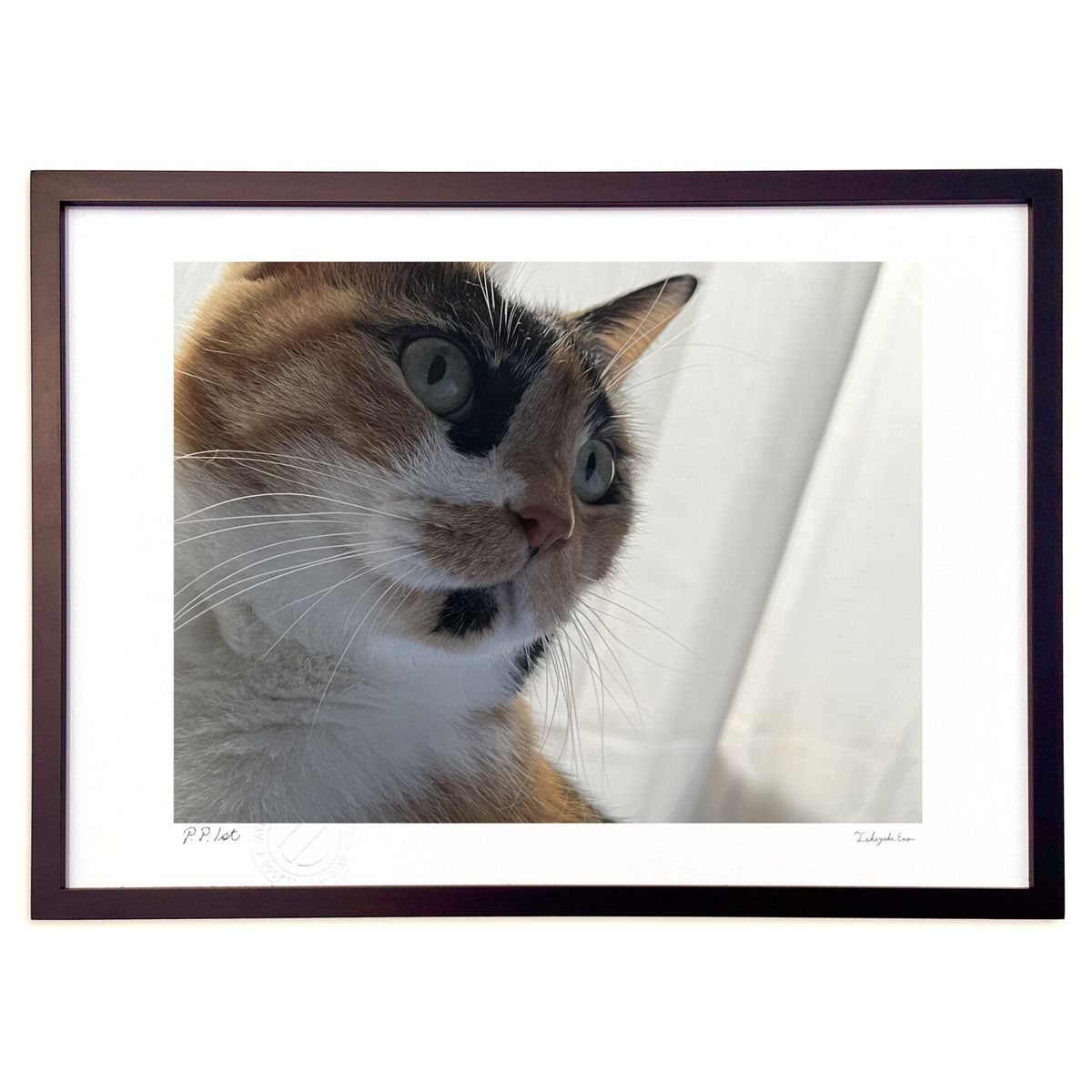 ڥѡSALEȾۡǲ  (Ҥ椭)ƥꥢ ɳݤ  ʲ ݥ  ӥ ؤ˾  ץ쥼  ȥե...