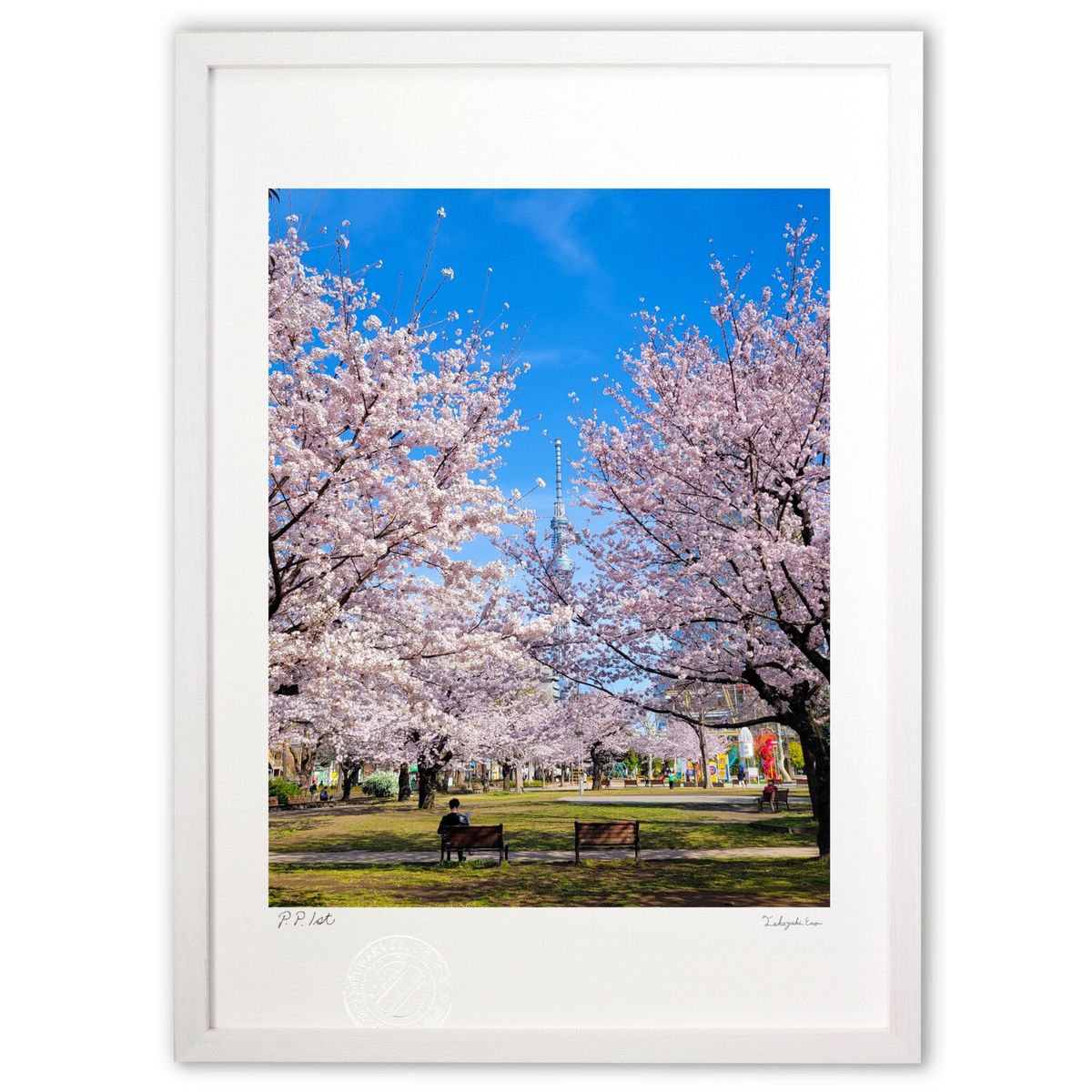 ڥѡSALEȾۡǲ  (mameco)ƥꥢ ɳݤ  ʲ ݥ  ӥ ؤ˾  ץ쥼  ȥ...