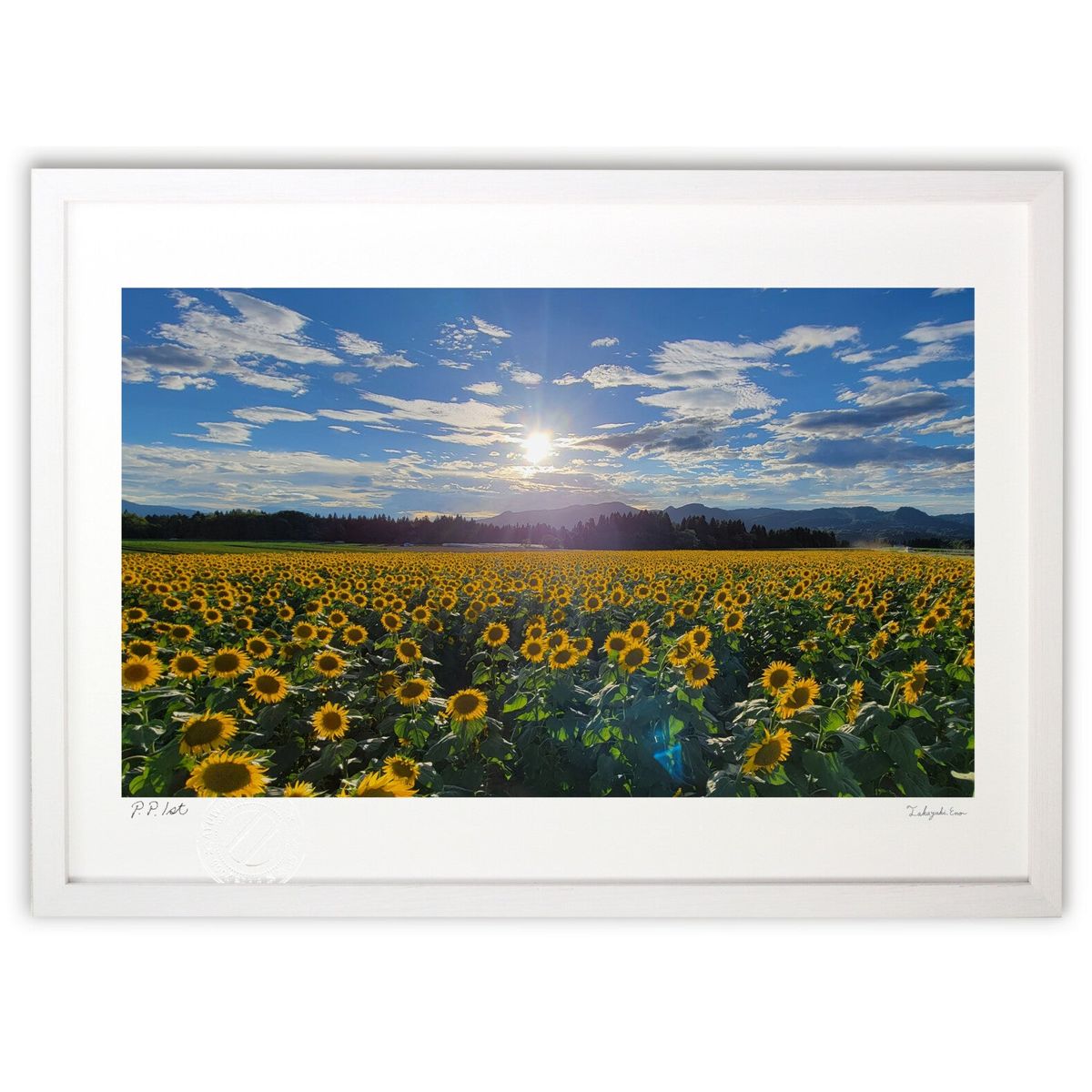 ڥѡSALEȾۡǲ Ҥޤ (mameco)ƥꥢ ɳݤ  ʲ ݥ  ӥ ؤ˾  ץ쥼  ...