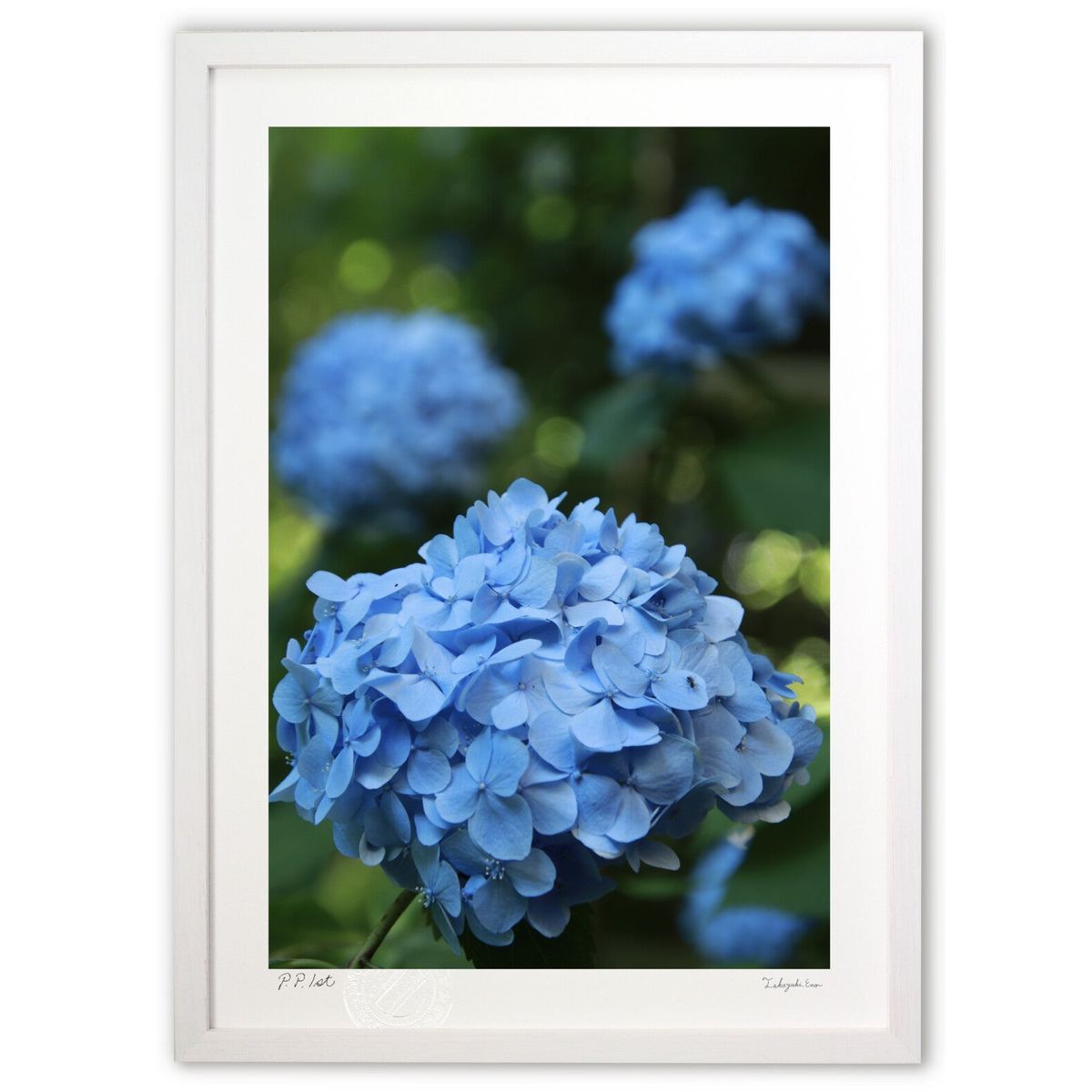 ڥѡSALEȾۡǲ ƤԤ (mucoa)ƥꥢ ɳݤ  ʲ ݥ  ӥ ؤ˾  ץ쥼  ...