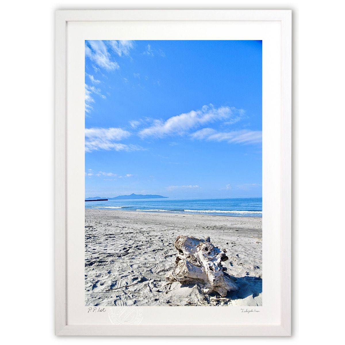 ڥѡSALEȾۡǲ ɺήʪ (mitan)ƥꥢ ɳݤ  ʲ ݥ  ӥ ؤ˾  ץ쥼  ...