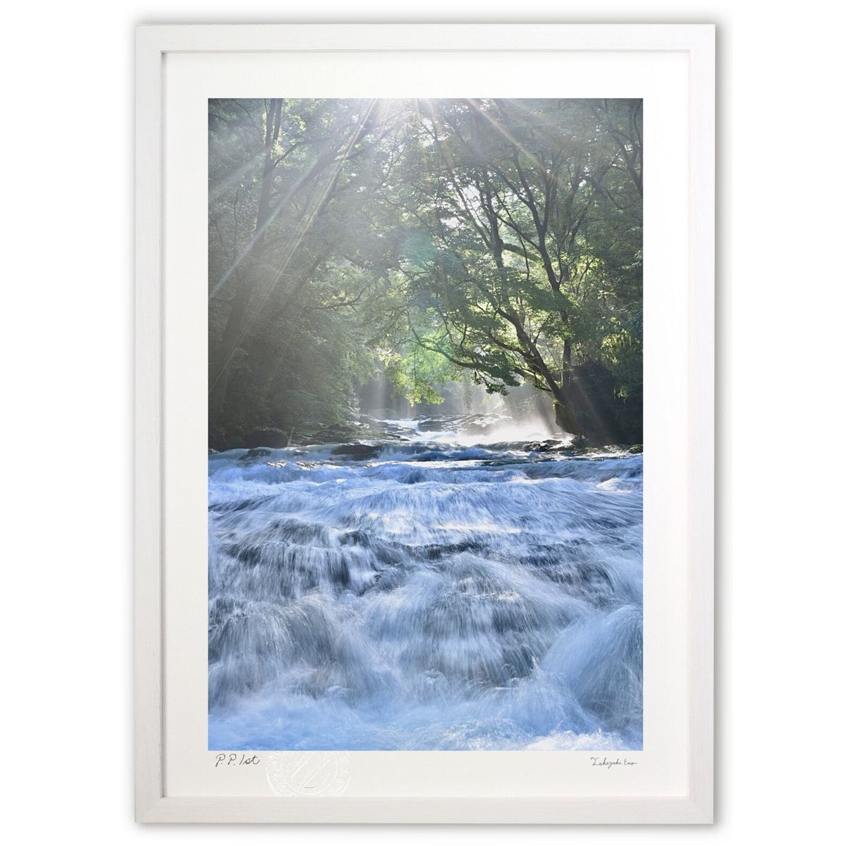 ڥѡSALEȾۡǲ ήī (mitan)ƥꥢ ɳݤ  ʲ ݥ  ӥ ؤ˾  ץ쥼  ...