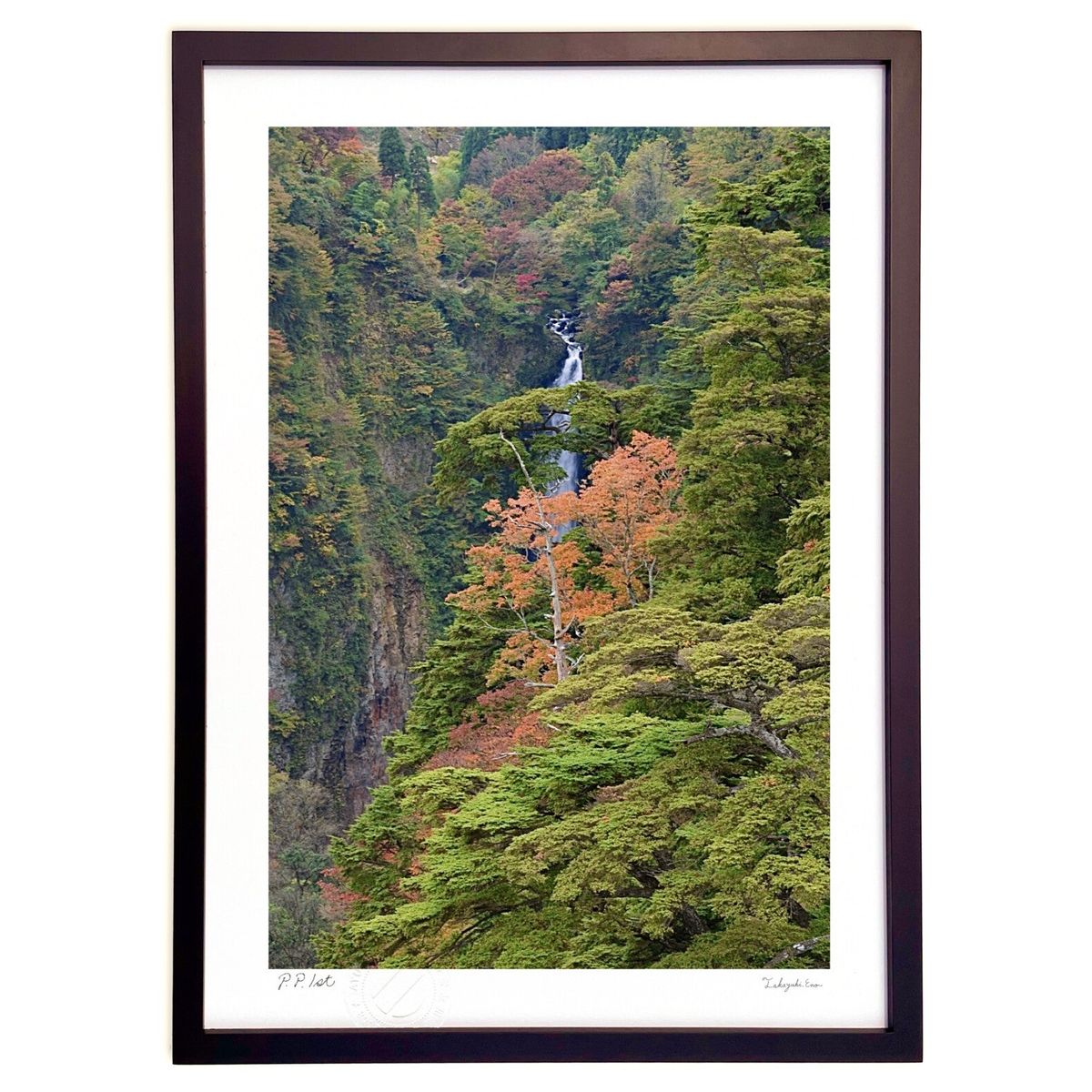 ڥѡSALEȾۡǲ ë (mitan)ƥꥢ ɳݤ  ʲ ݥ  ӥ ؤ˾  ץ쥼  ...