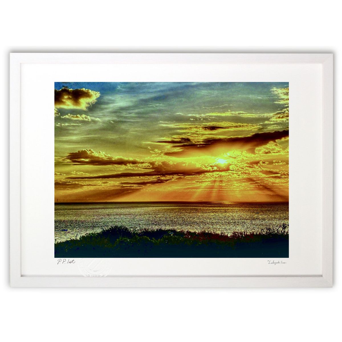 ڥѡSALEȾۡǲ sunrise (blackswan)ƥꥢ ɳݤ  ʲ ݥ  ӥ ؤ˾  ץ쥼...