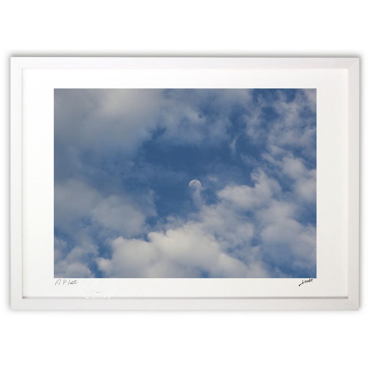 ڥѡSALEȾۡǲ  (hidebow)ƥꥢ ɳݤ  ʲ ݥ  ӥ ؤ˾  ץ쥼 ...