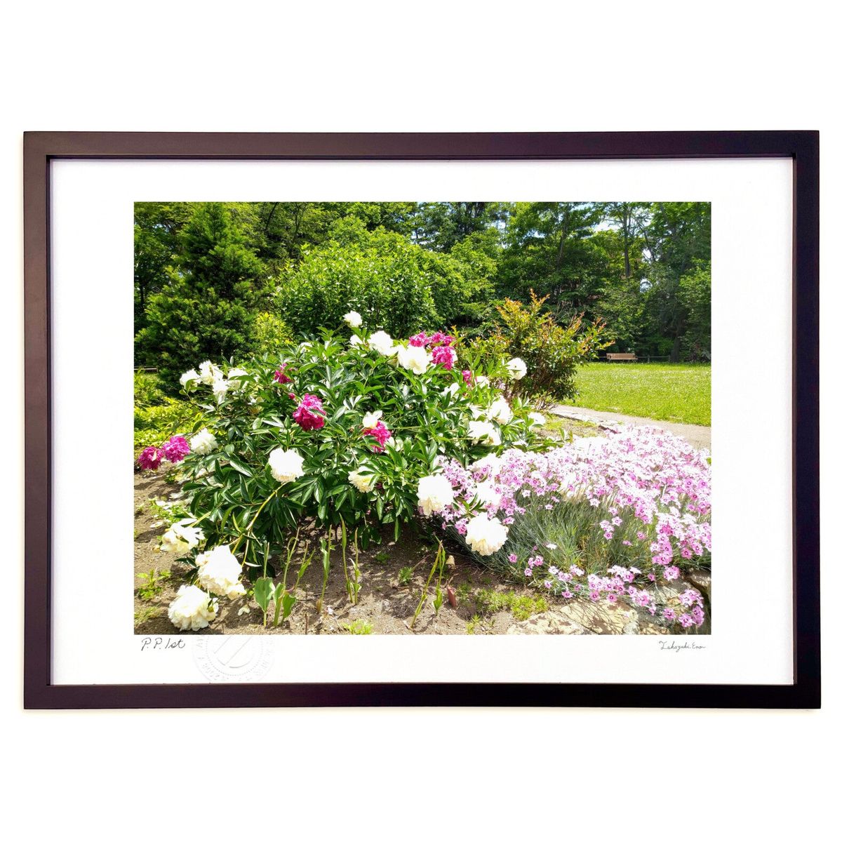 ڥѡSALEȾۡǲ ԥ󥯿β (ΡХ˥)ƥꥢ ɳݤ  ʲ ݥ  ӥ ؤ˾  ץ쥼 ...