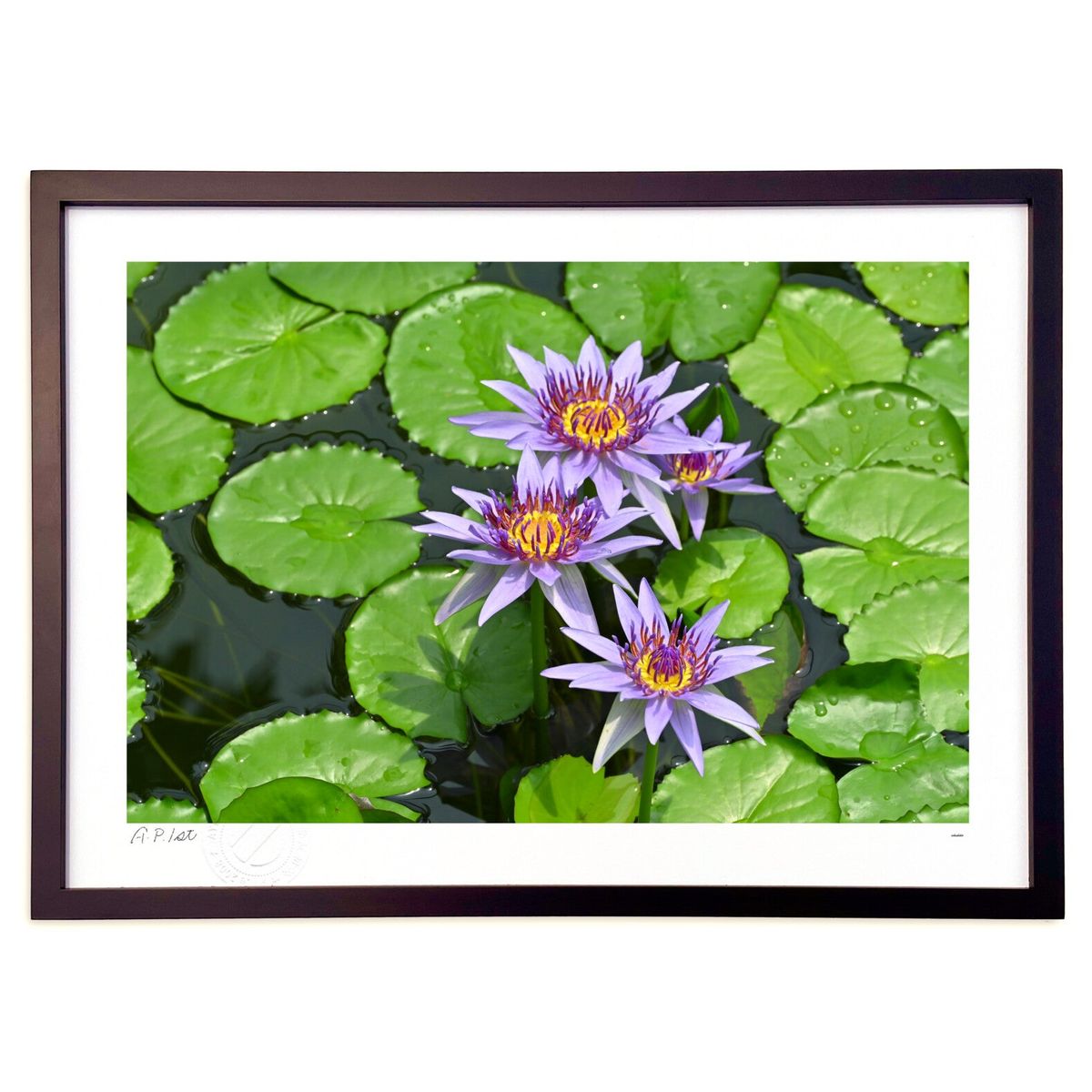 ڥѡSALEȾۡǲ ϡ (Ϥˤۤؤ)ƥꥢ ɳݤ  ʲ ݥ  ӥ ؤ˾  ץ쥼  ...