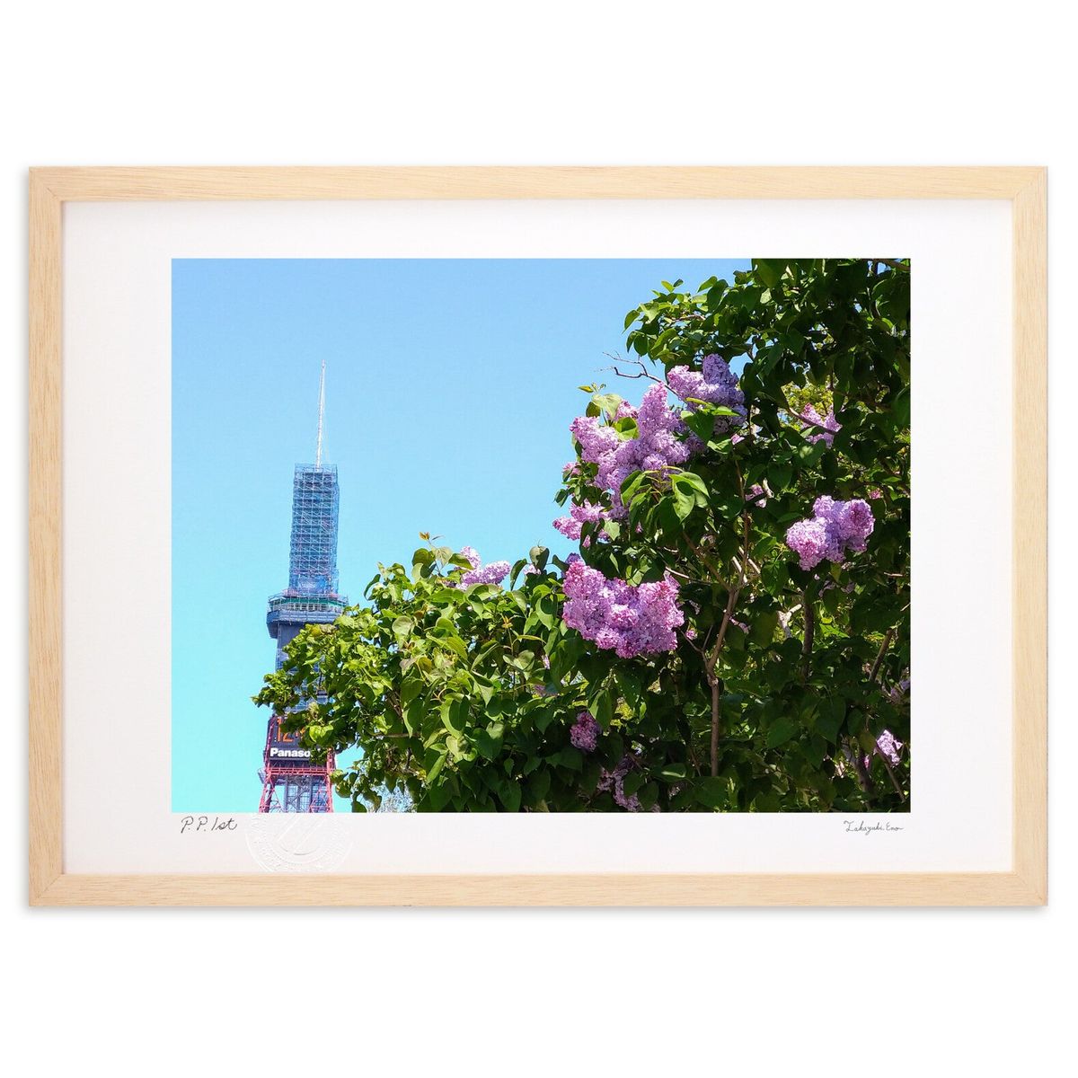 ڥѡSALEȾۡǲ Ƥι (ΡХ˥)ƥꥢ ɳݤ  ʲ ݥ  ӥ ؤ˾  ץ쥼  ...