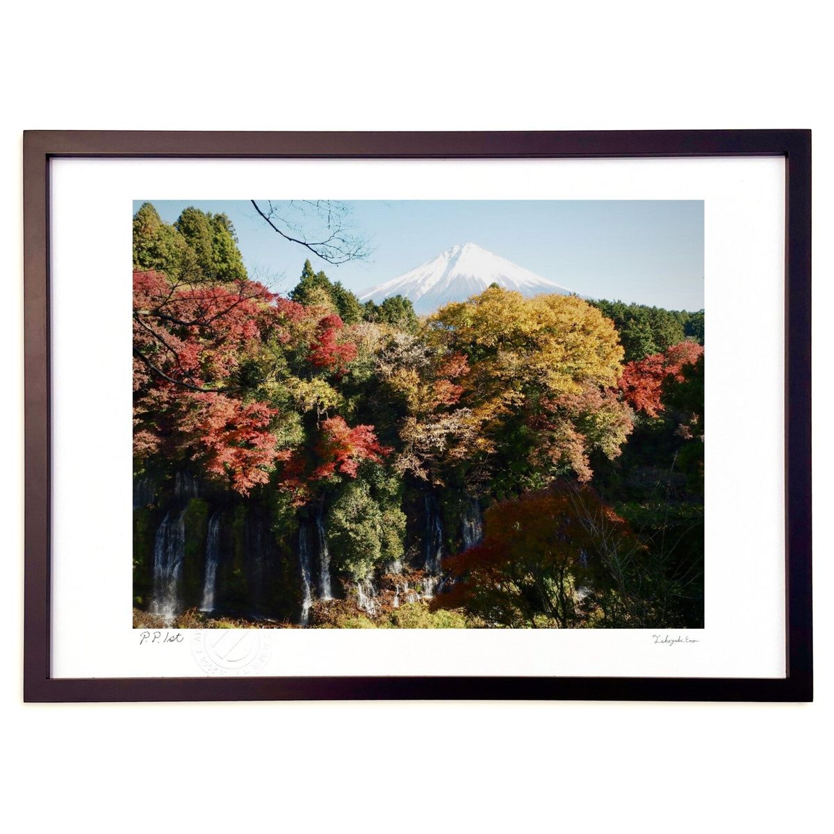 ڥѡSALEȾۡǲ ӽ (A.HARASHINA)ƥꥢ ɳݤ  ʲ ݥ  ӥ ؤ˾  ץ쥼...