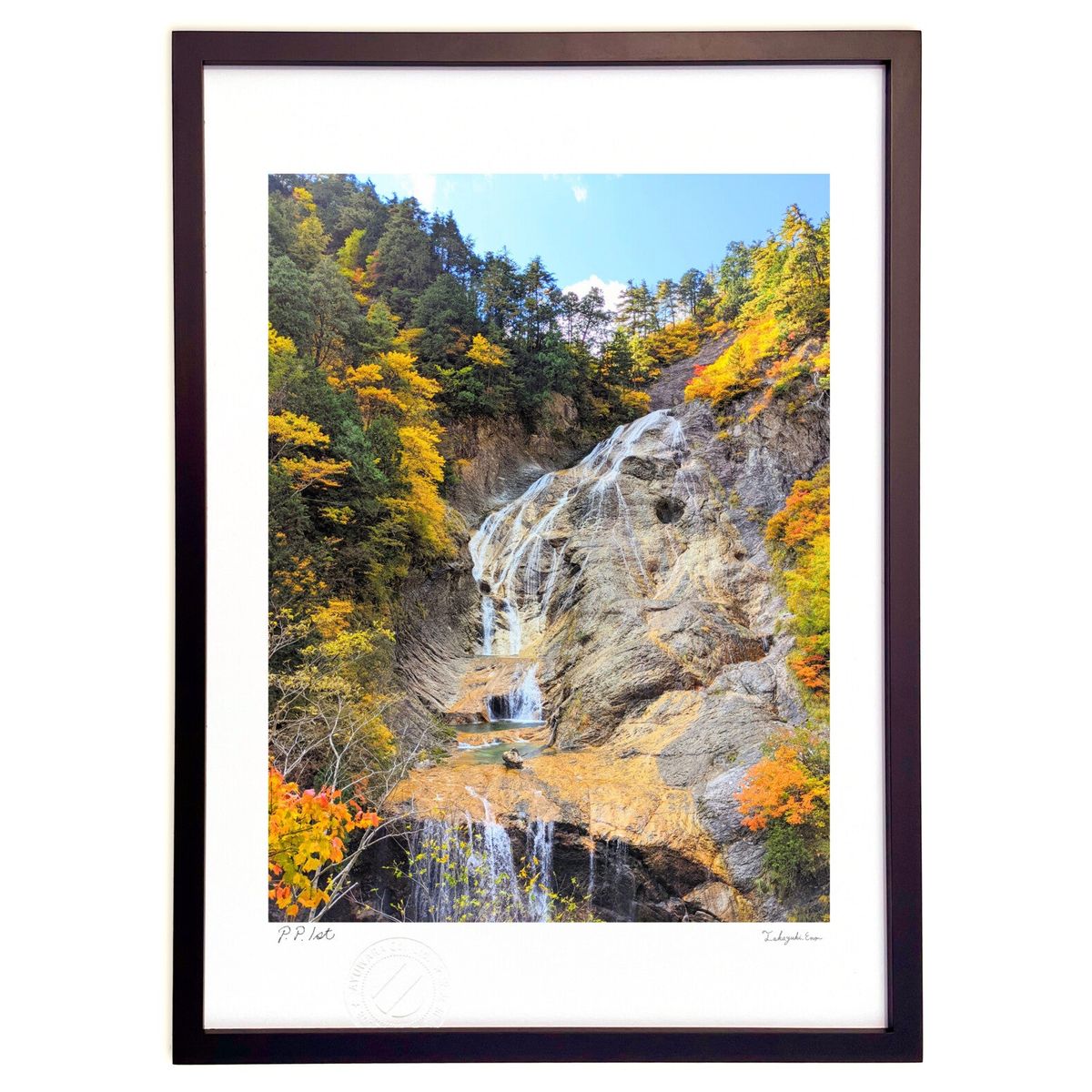 ڥѡSALEȾۡǲ ǲ衡ι (cojyoco)ƥꥢ ɳݤ  ʲ ݥ  ӥ ؤ˾  ץ쥼...