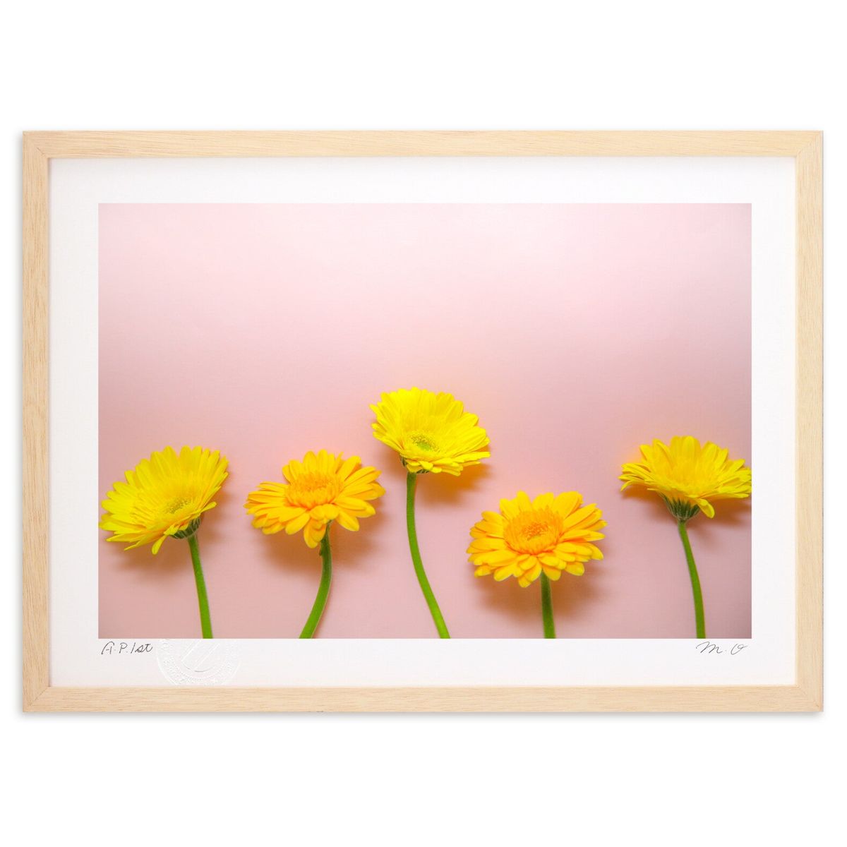 ڥѡSALEȾۡǲ ¤٥ (m.o)ƥꥢ ɳݤ  ʲ ݥ  ӥ ؤ˾  ץ쥼  ...