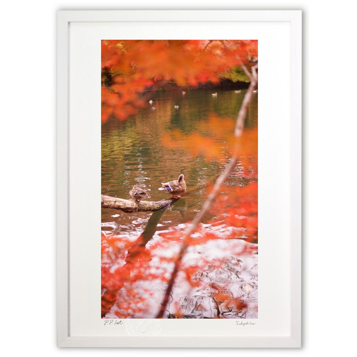 ڥѡSALEȾۡǲ դθ̤ˤĻ (ڼ¤)ƥꥢ ɳݤ  ʲ ݥ  ӥ ؤ˾  ץ쥼 ...