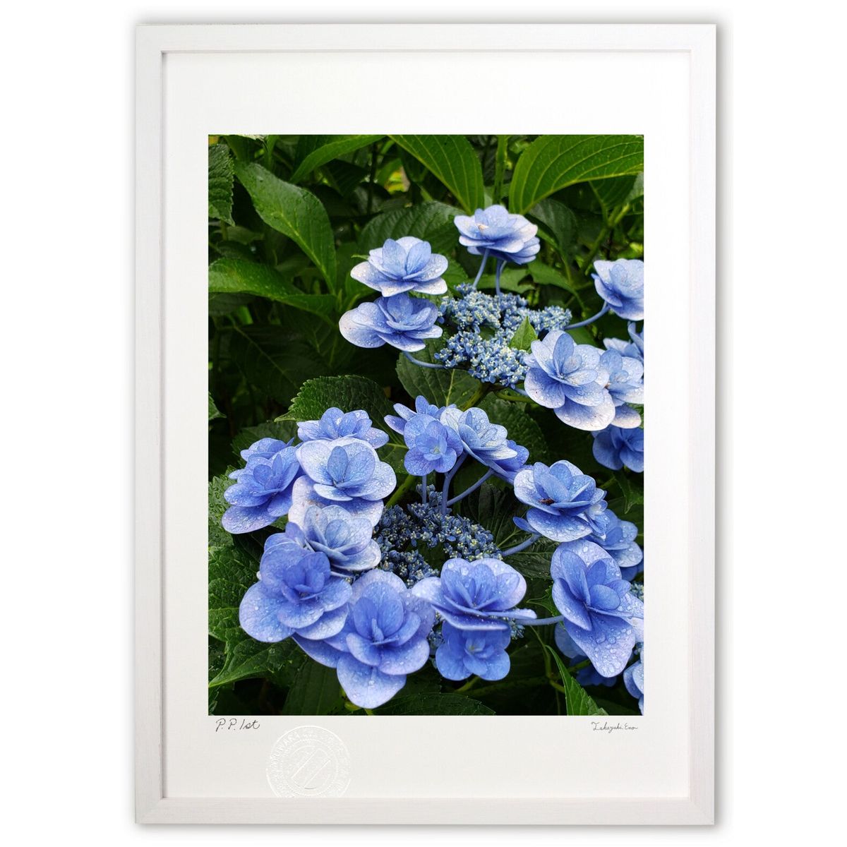 ڥѡSALEȾۡǲ ۲ (mameco)ƥꥢ ɳݤ  ʲ ݥ  ӥ ؤ˾  ץ쥼  ...