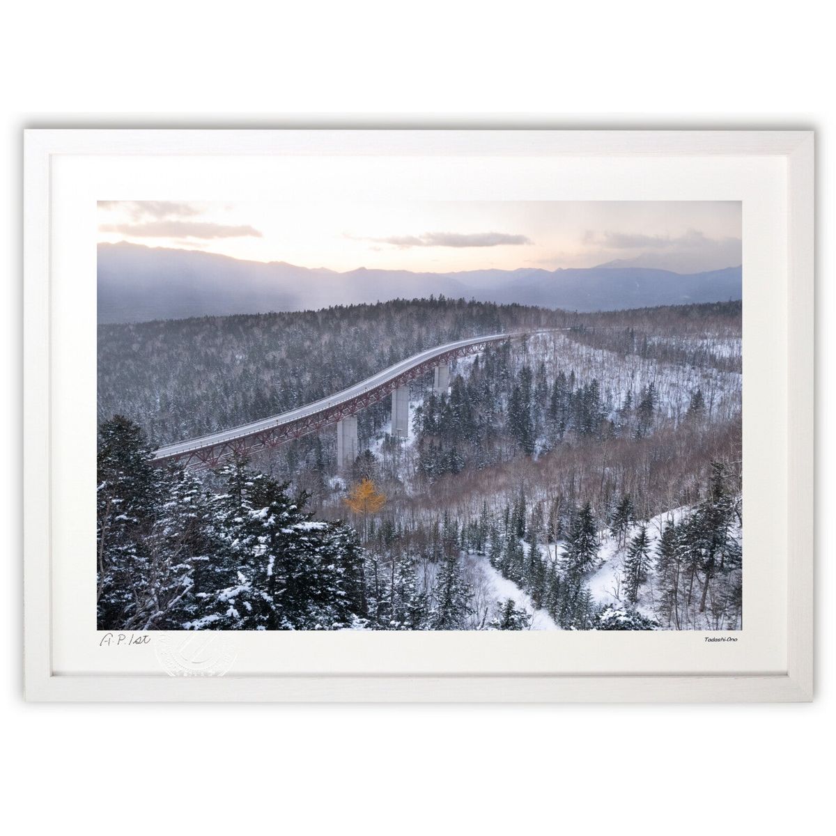 ڥѡSALEȾۡǲ ߤ ( )ƥꥢ ɳݤ  ʲ ݥ  ӥ ؤ˾  ץ쥼  ...