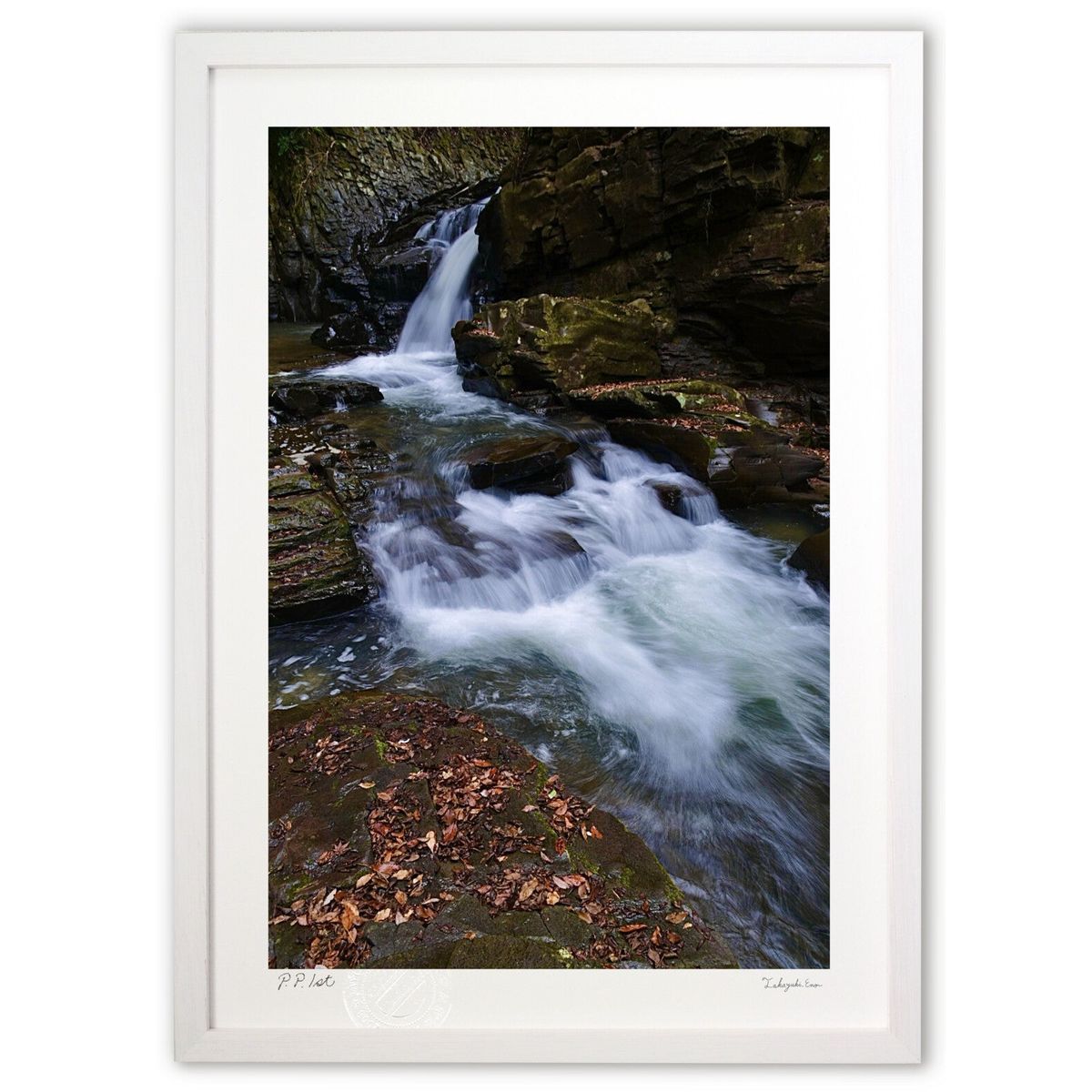 ڥѡSALEȾۡǲ ߤ (mitan)ƥꥢ ɳݤ  ʲ ݥ  ӥ ؤ˾  ץ쥼  ...