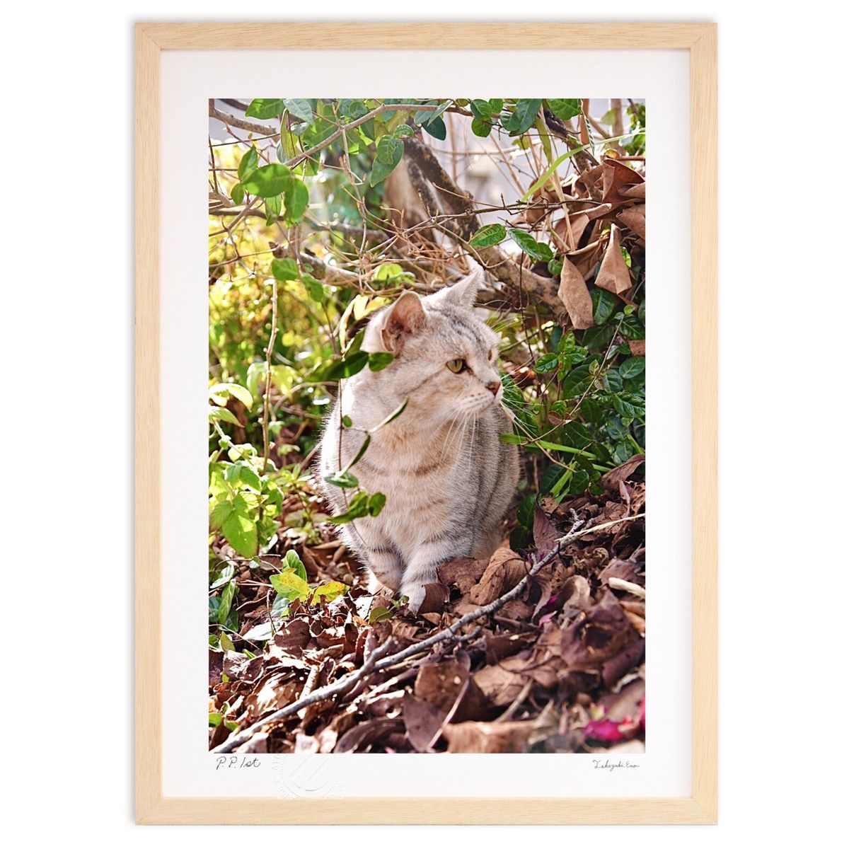 【スーパーSALE半額】版画 ツンとした猫 (mitan)インテリア 壁掛け 額入り 風景画 ポスター アート リビング 玄関に飾る 風水 プレゼント モダン ...