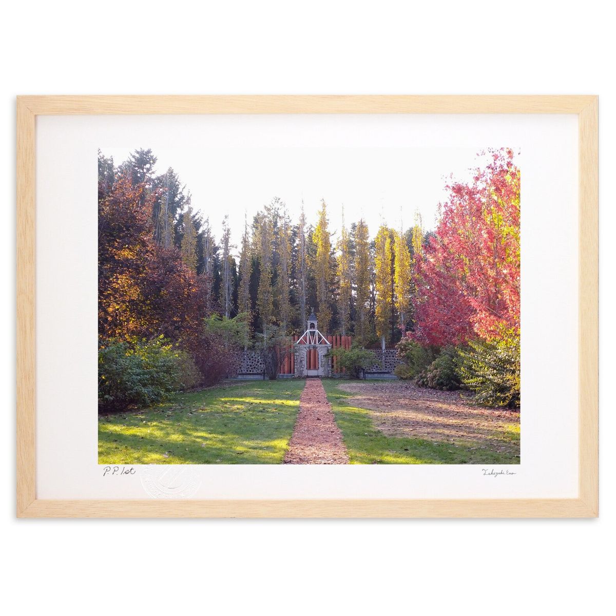 ڥѡSALEȾۡǲ Υǡ (ΡХ˥)ƥꥢ ɳݤ  ʲ ݥ  ӥ ؤ˾  ץ쥼 ...