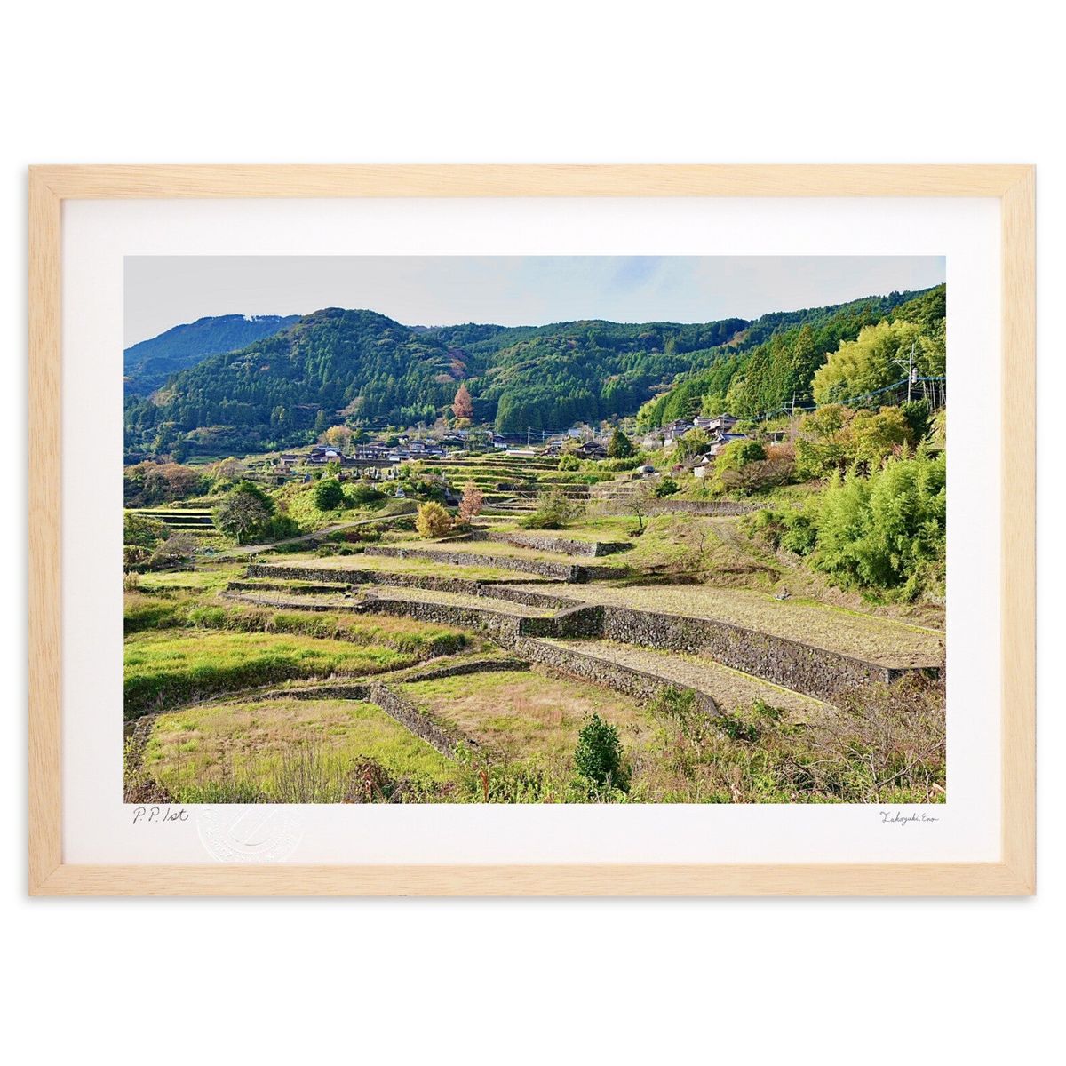 ڥѡSALEȾۡǲ פΤ褦ê (mitan)ƥꥢ ɳݤ  ʲ ݥ  ӥ ؤ˾  ץ쥼 ...