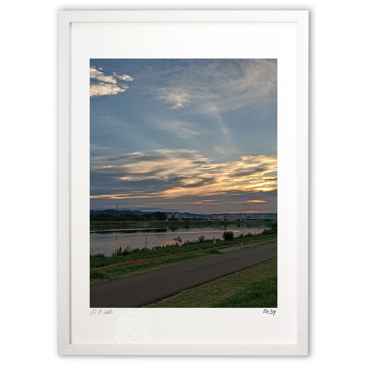 ڥѡSALEȾۡǲ Ū (39(Ҥ 󤭤夦))ƥꥢ ɳݤ  ʲ ݥ  ӥ ؤ˾  ץ쥼...