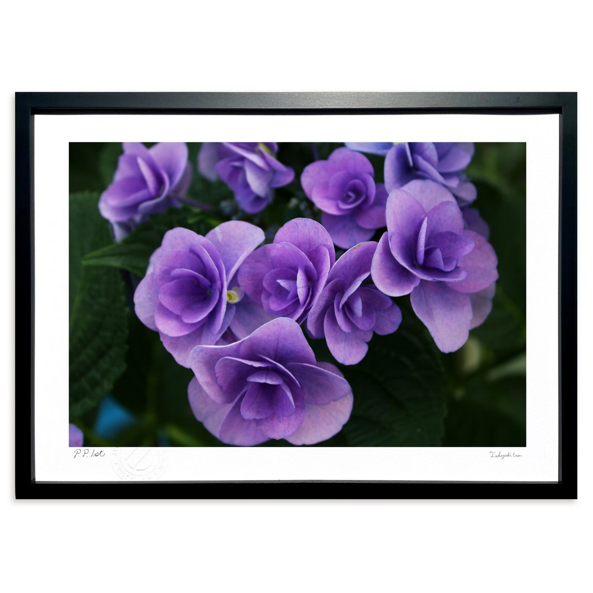 ڥѡSALEȾۡǲ ۲ (ҥ)ƥꥢ ɳݤ  ʲ ݥ  ӥ ؤ˾  ץ쥼  ȥ...