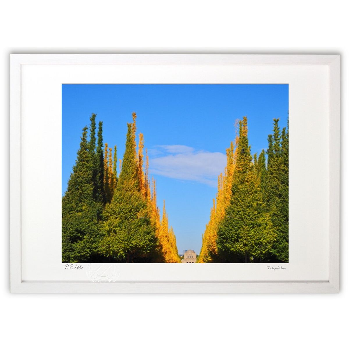 ڥѡSALEȾۡǲ  ( )ƥꥢ ɳݤ  ʲ ݥ  ӥ ؤ˾  ץ쥼  ...