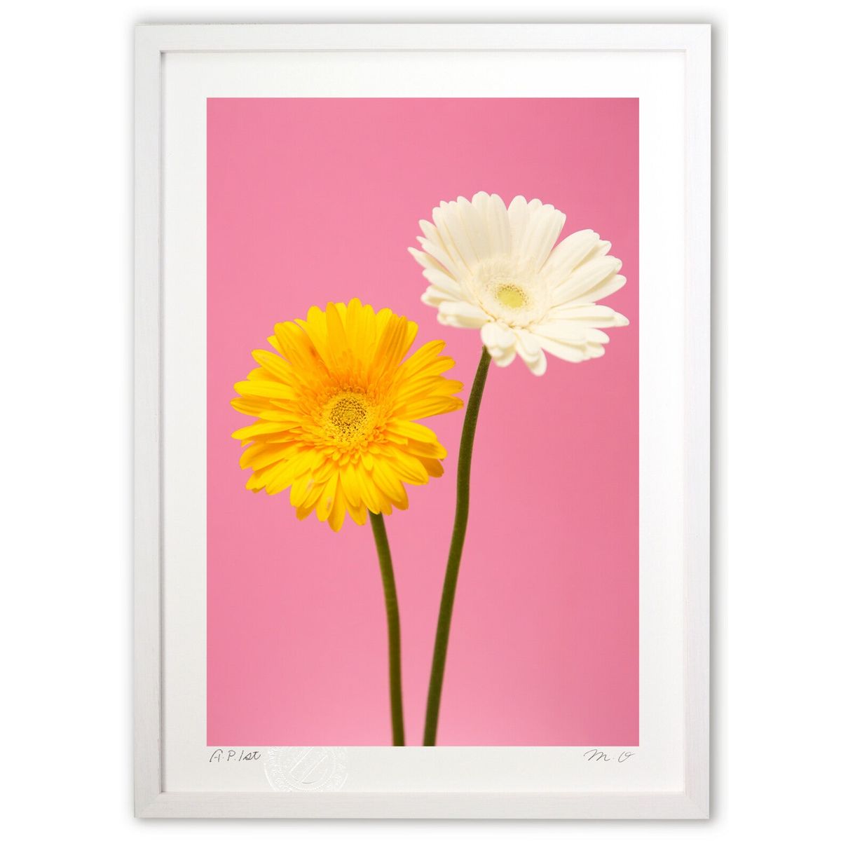 ڥѡSALEȾۡǲ Ϥޤ (m.o)ƥꥢ ɳݤ  ʲ ݥ  ӥ ؤ˾  ץ쥼  ...