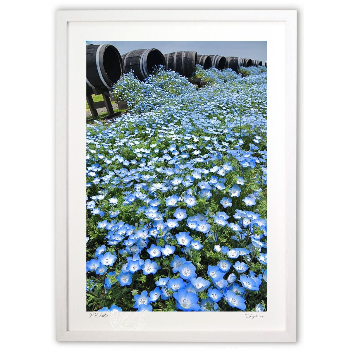 【スーパーSALE半額】【作家からの作品説明】大量の青ワイン赤ワイン 白ワインでもない初めて見る青ワイン。