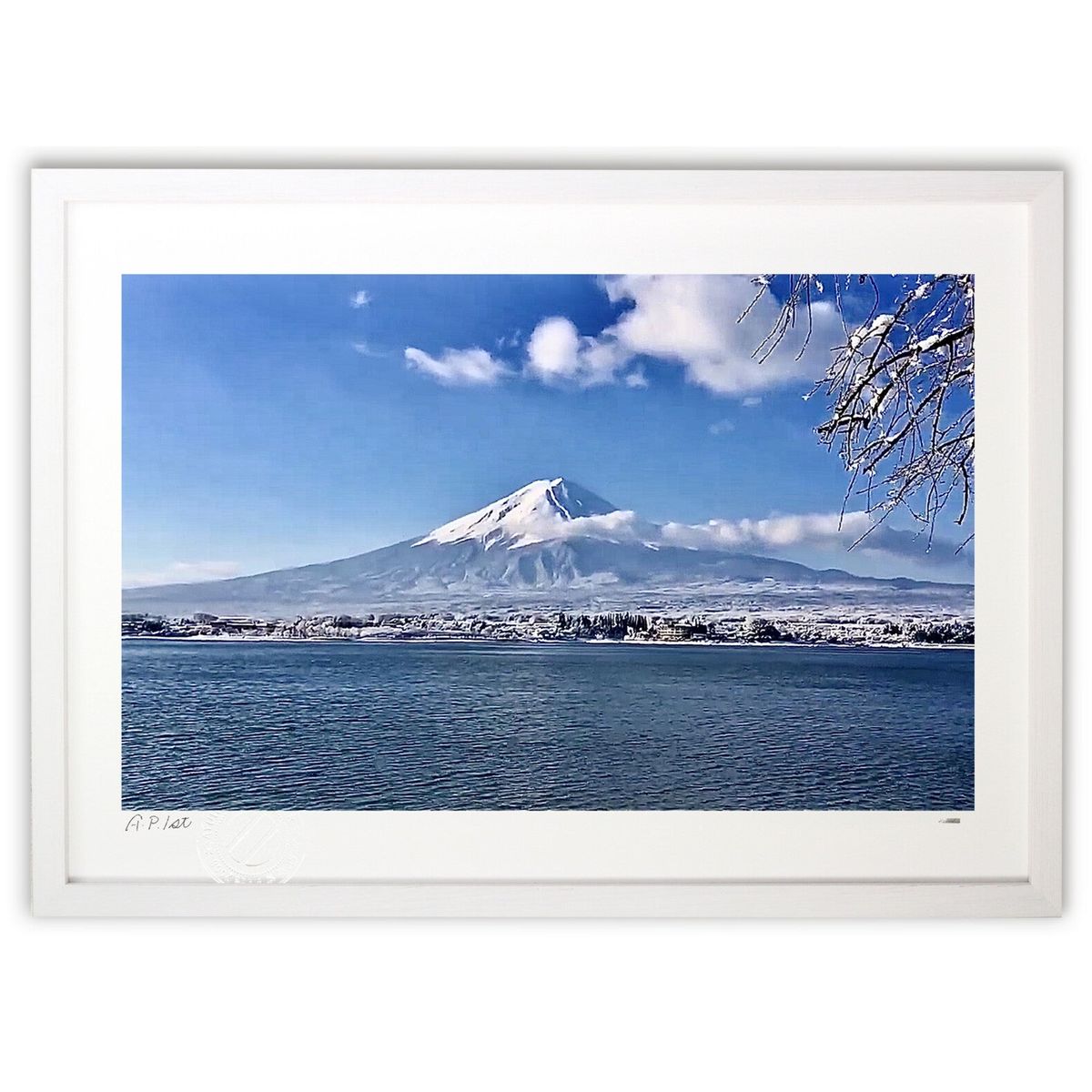 ڥѡSALEȾۡǲ ٻ (kaminacoloursʥߥʥ顼)