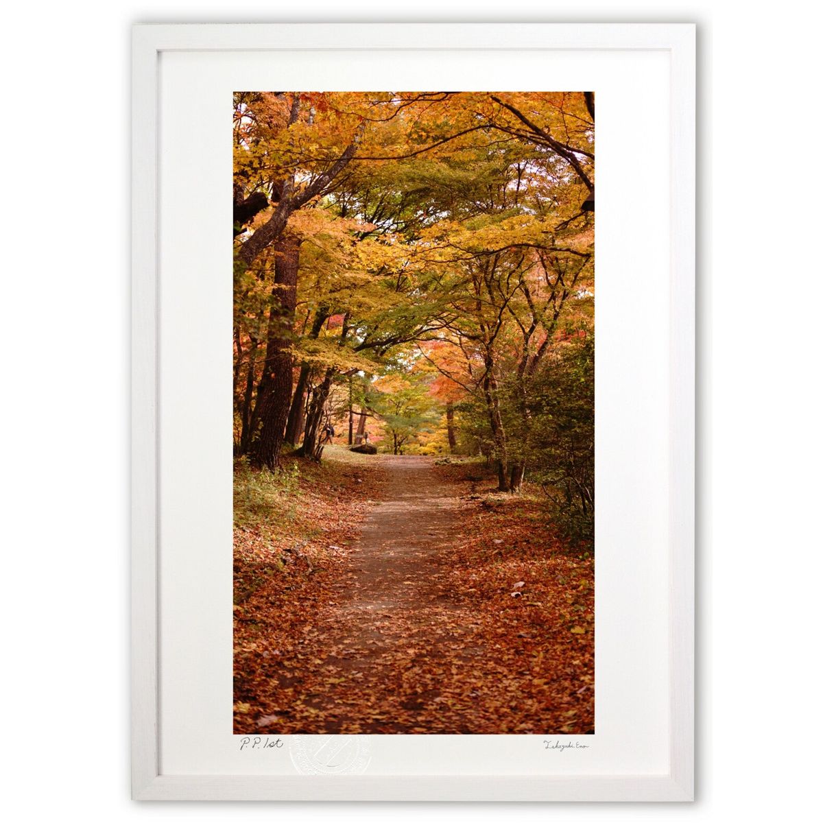 ڥѡSALEȾۡǲ սξ (ڼ¤)ƥꥢ ɳݤ  ʲ ݥ  ӥ ؤ˾  ץ쥼  ...