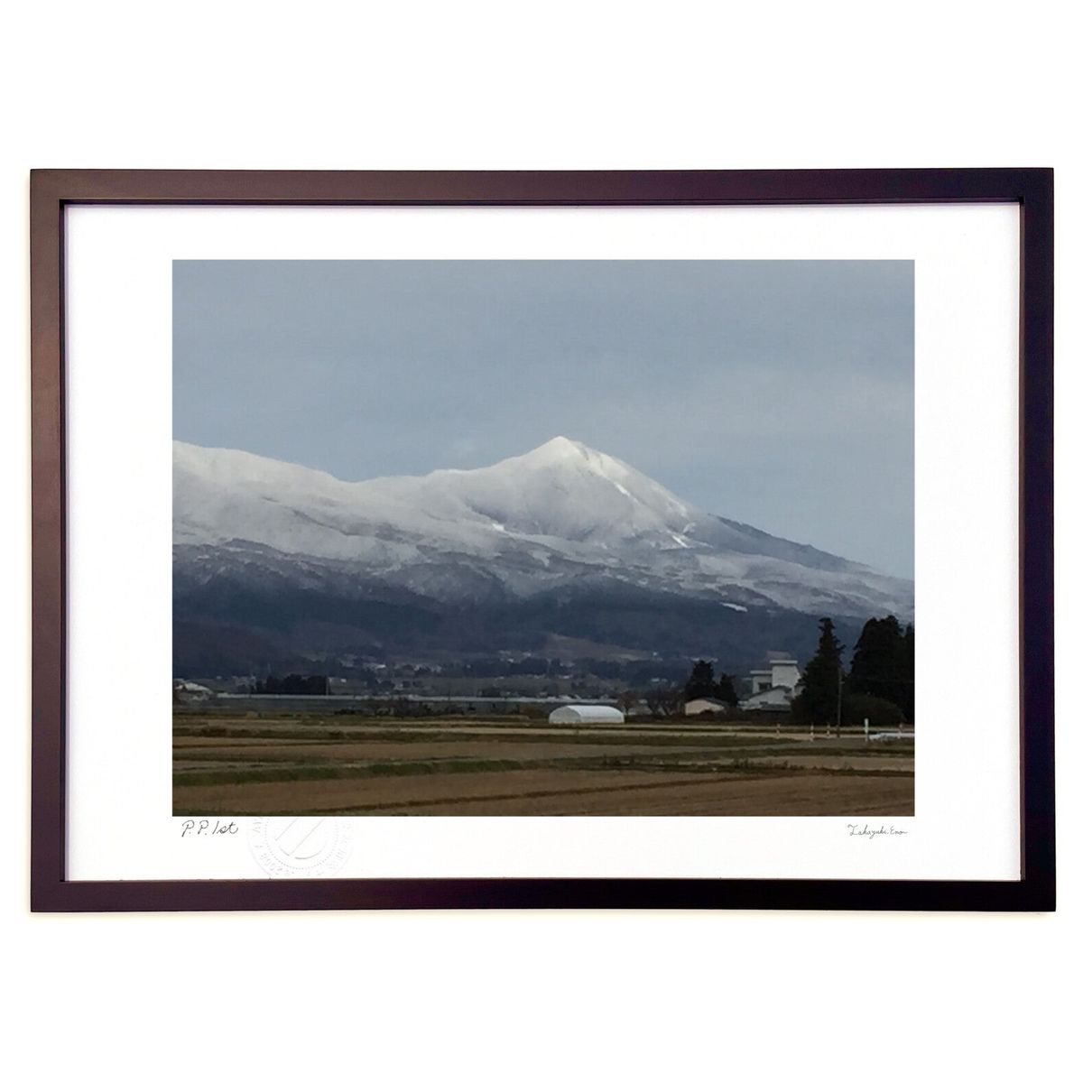 ڥѡSALEȾۡǲ  ()ƥꥢ ɳݤ  ʲ ݥ  ӥ ؤ˾  ץ쥼  ...