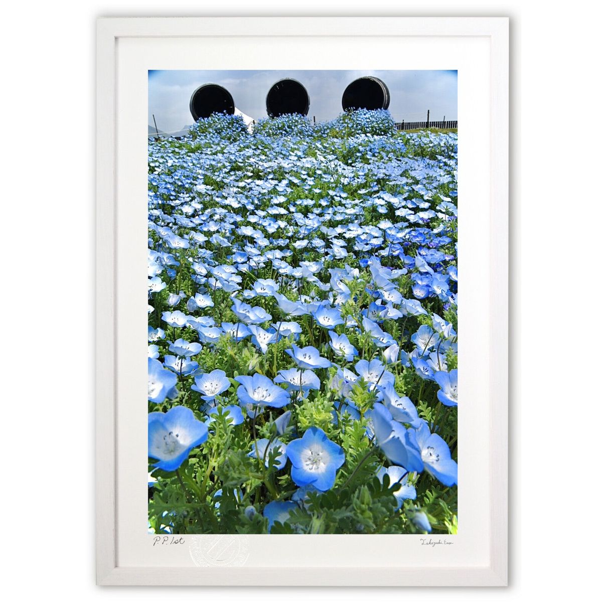 ڥѡSALEȾۡǲ ͥե磻2 (mitan)ƥꥢ ɳݤ  ʲ ݥ  ӥ ؤ˾  ץ쥼 ...