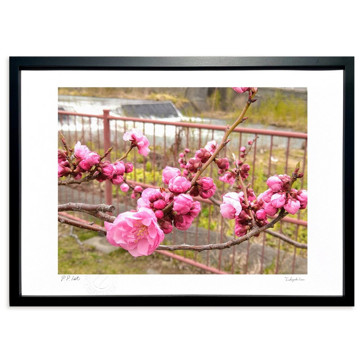 ڥѡSALEȾۡǲ  (ΡХ˥)ƥꥢ ɳݤ  ʲ ݥ  ӥ ؤ˾  ץ쥼  ...