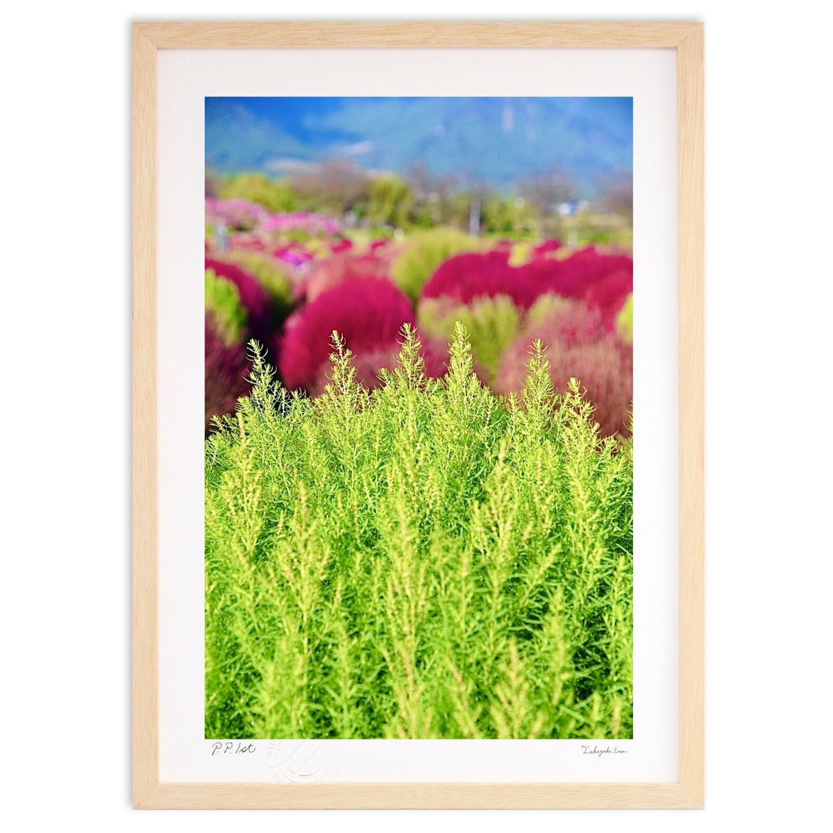 【スーパーSALE半額】版画 緑のコキア (mitan)インテリア 壁掛け 額入り 風景画 ポスター アート リビング 玄関に飾る 風水 プレゼント モダン ア...