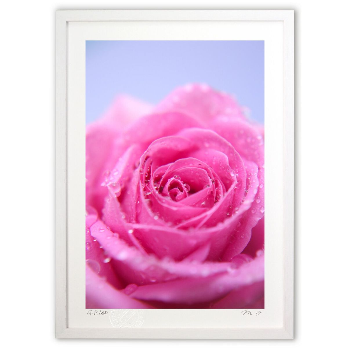 ڥѡSALEȾۡǲ Хȿũ (m.o)ƥꥢ ɳݤ  ʲ ݥ  ӥ ؤ˾  ץ쥼  ...