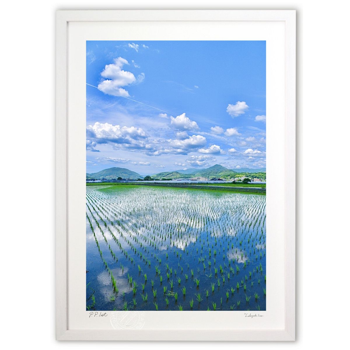 ڥѡSALEȾۡǲ Zα (mitan)ƥꥢ ɳݤ  ʲ ݥ  ӥ ؤ˾  ץ쥼  ...