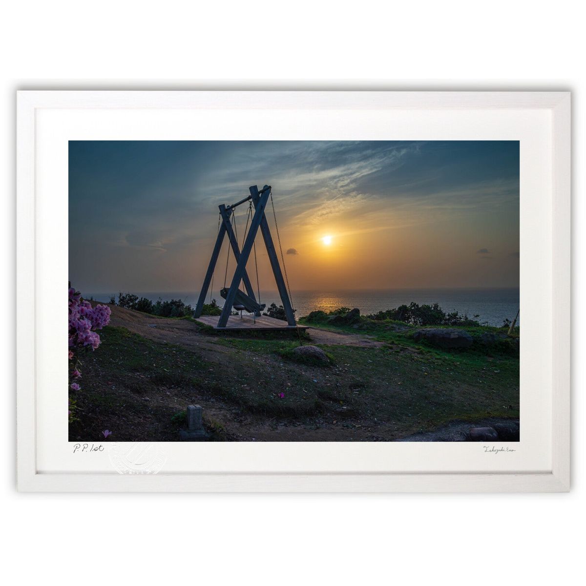 ڥѡSALEȾۡǲ ͼ (houshiphoto)ƥꥢ ɳݤ  ʲ ݥ  ӥ ؤ˾  ץ쥼...