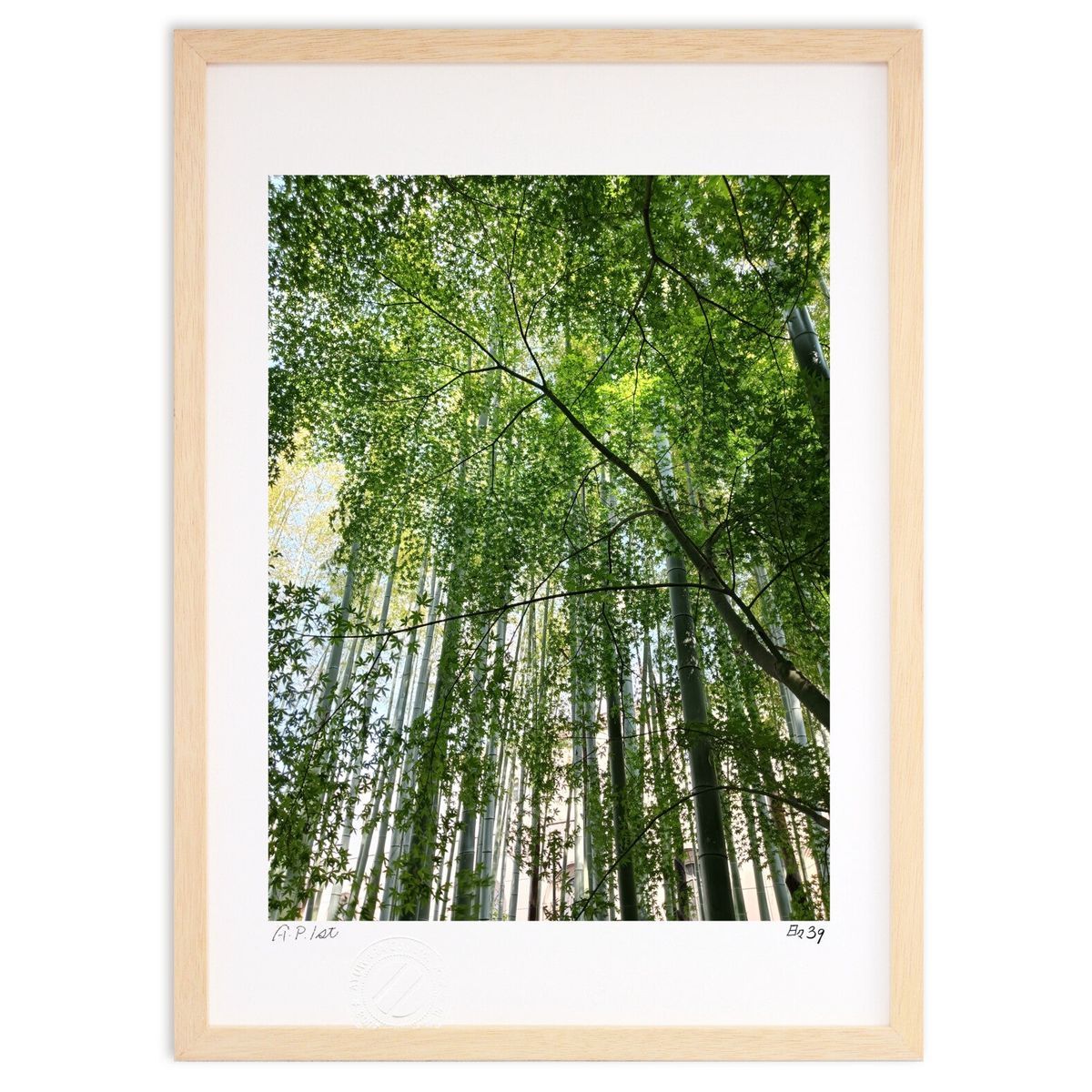 ڥѡSALEȾۡǲ  (39(Ҥ 󤭤夦))ƥꥢ ɳݤ  ʲ ݥ  ӥ ؤ˾  ץ쥼...