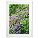 【スーパーSALE半額】版画 紫陽花の森 (mitan)インテリア 壁掛け 額入り 風景画 ポスター アート リビング 玄関に飾る 風水 プレゼント モダン ア...