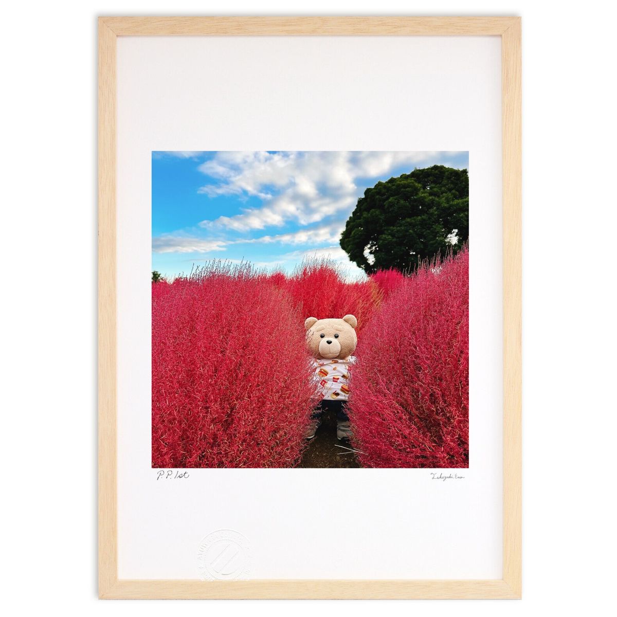 ڥѡSALEȾۡǲ ޤȥ (jun_ted)ƥꥢ ɳݤ  ʲ ݥ  ӥ ؤ˾  ץ쥼 ...