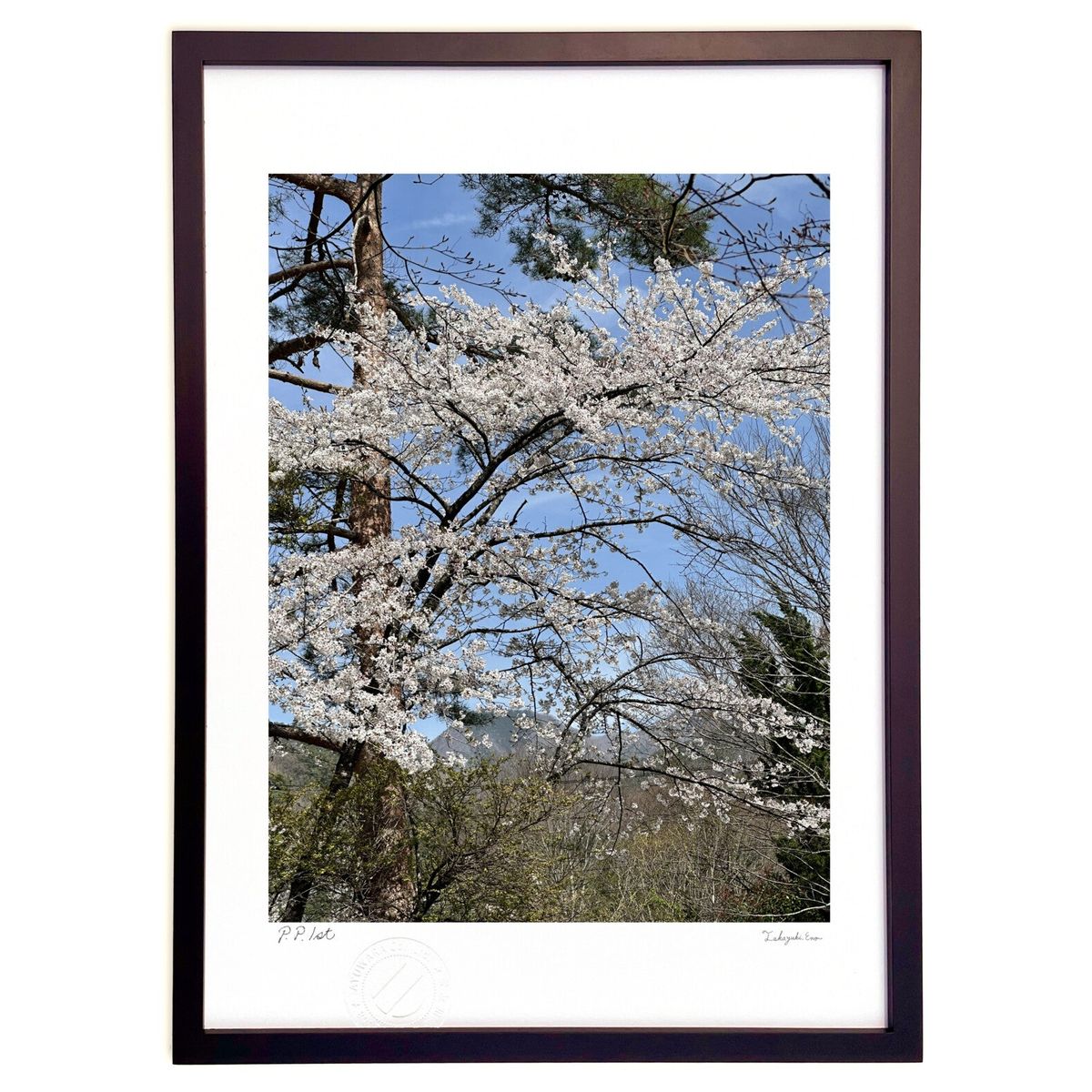 ڥѡSALEȾۡǲ ޤξ (ҥ)ƥꥢ ɳݤ  ʲ ݥ  ӥ ؤ˾  ץ쥼  ...