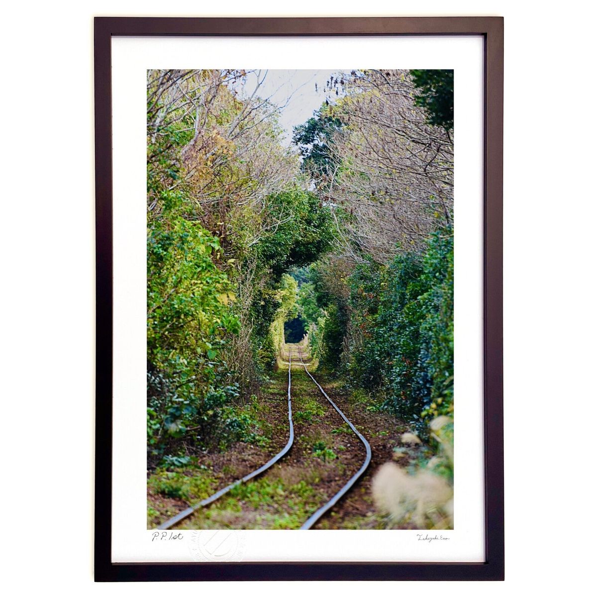 ڥѡSALEȾۡǲ ФΥȥͥ (mitan)ƥꥢ ɳݤ  ʲ ݥ  ӥ ؤ˾  ץ쥼  ...