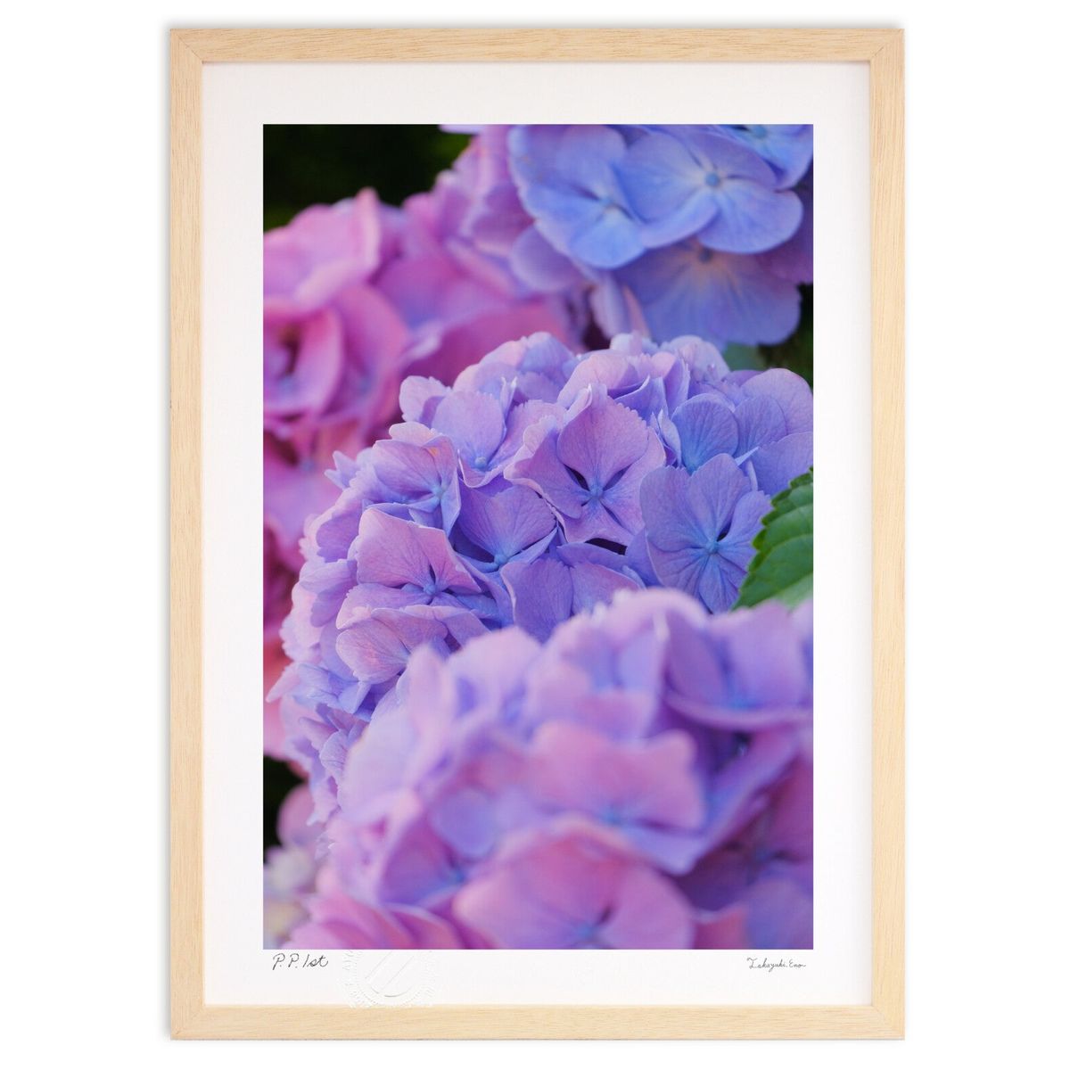 ڥѡSALEȾۡǲ Υǡ (ɼ)ƥꥢ ɳݤ  ʲ ݥ  ӥ ؤ˾  ץ쥼 ...