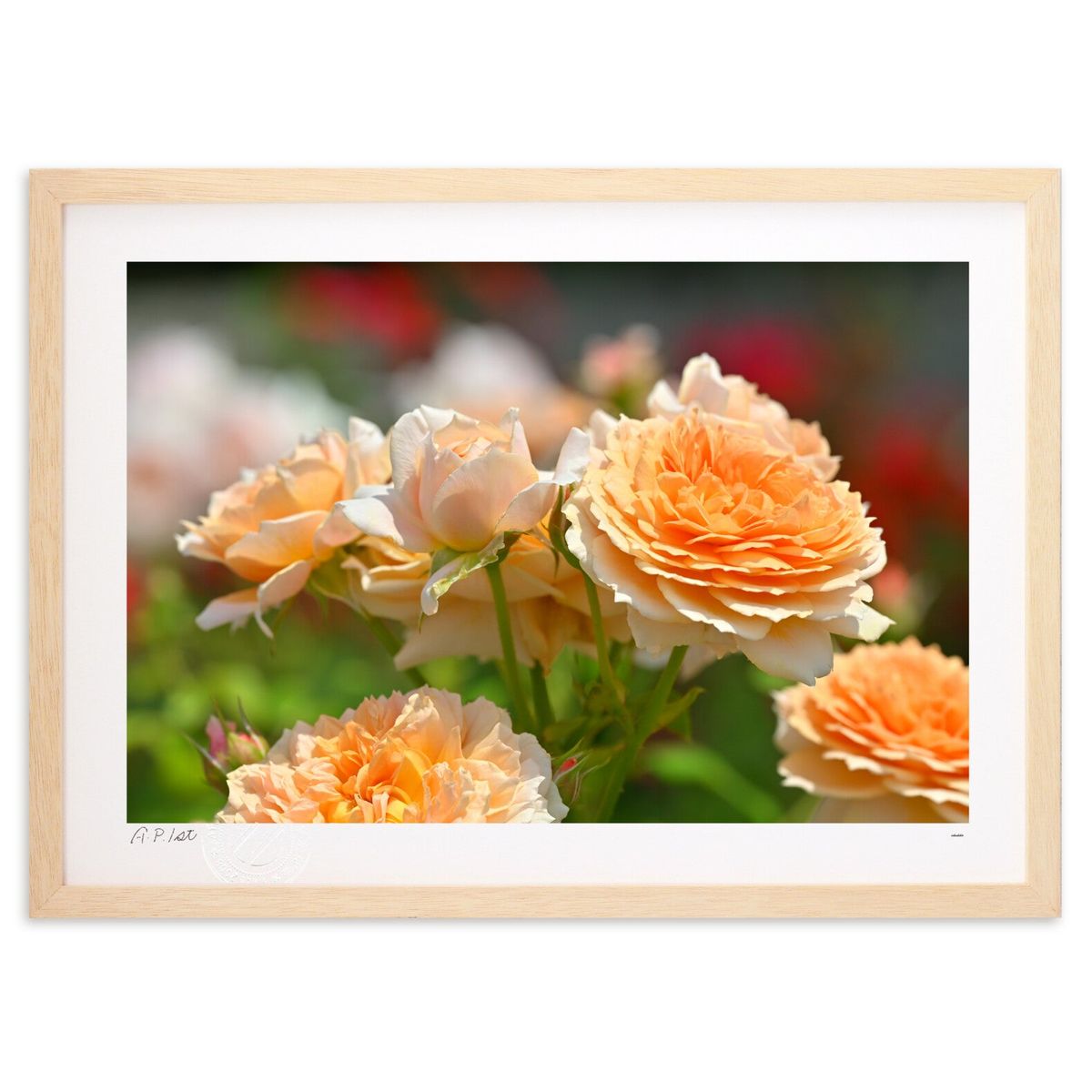 【スーパーSALE半額】版画 バラの花 (いろはにほへと)インテリア 壁掛け 額入り 風景画 ポスター アート リビング 玄関に飾る 風水 プレゼント モダン ...