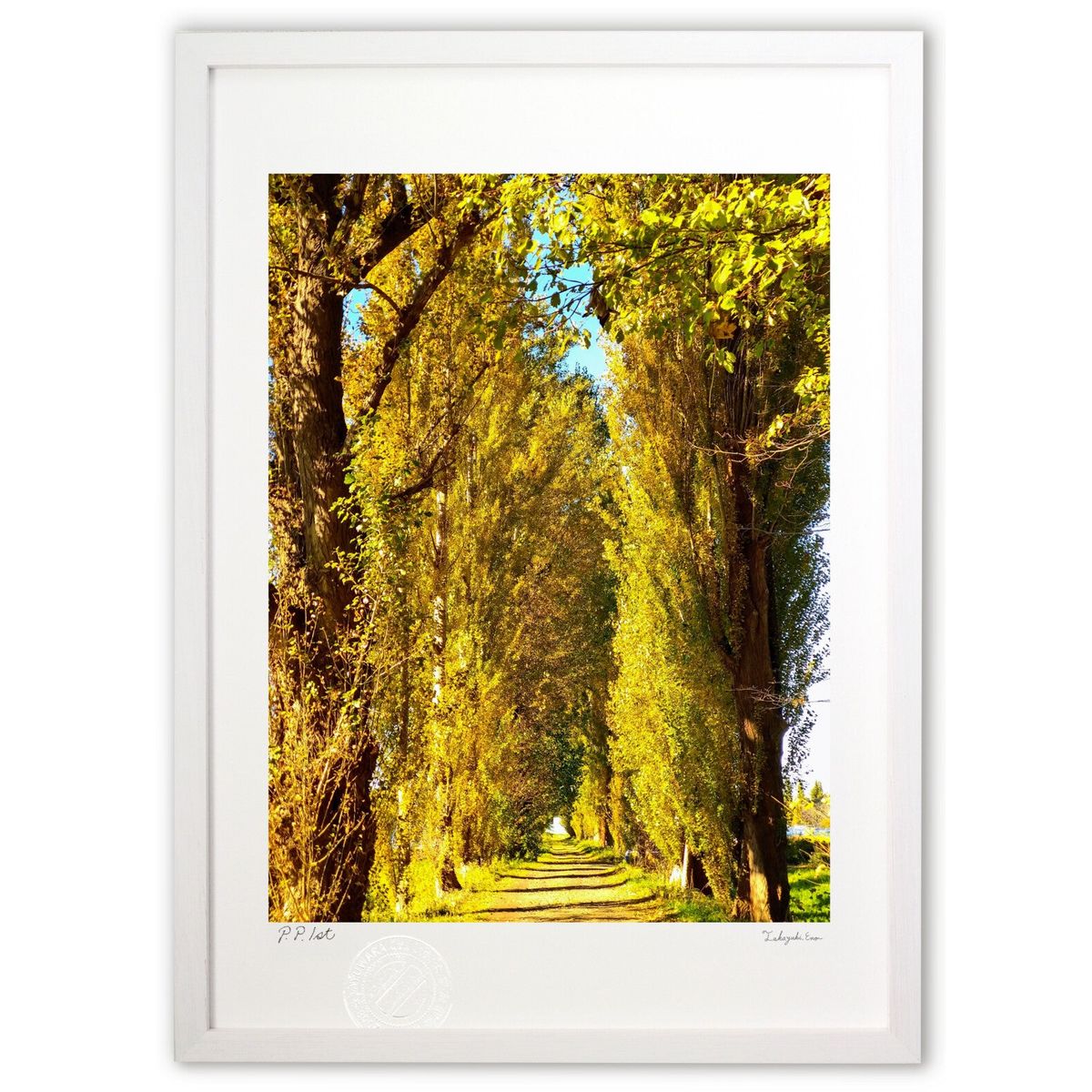 ڥѡSALEȾۡǲ ȥͥ (ΡХ˥)ƥꥢ ɳݤ  ʲ ݥ  ӥ ؤ˾  ץ쥼 ...