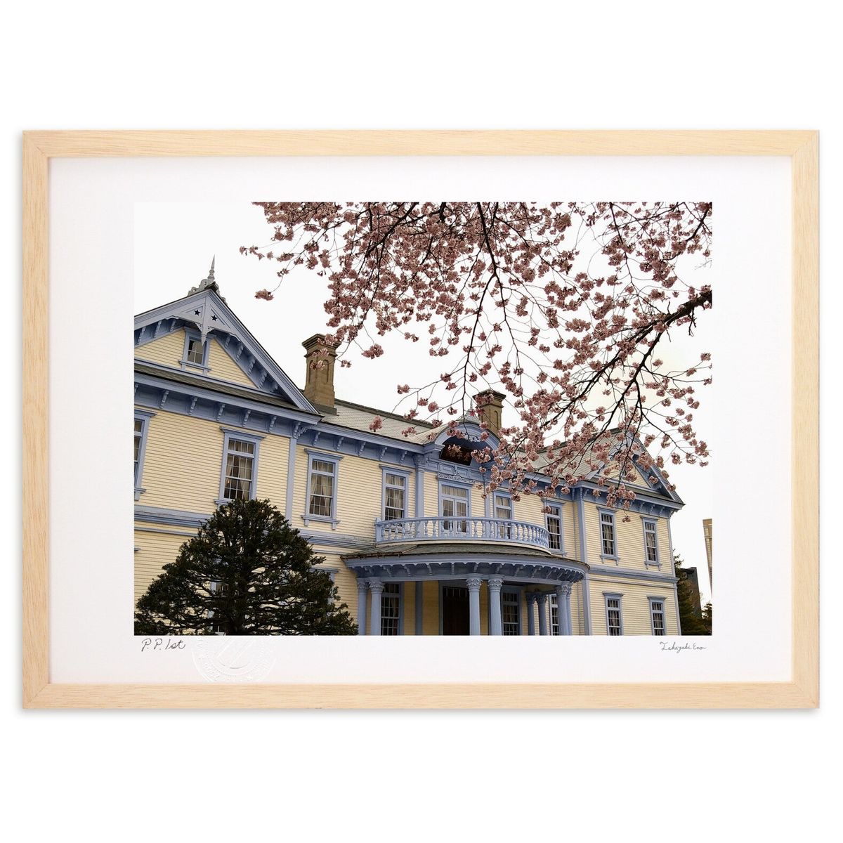 ڥѡSALEȾۡǲ ָ (ΡХ˥)ƥꥢ ɳݤ  ʲ ݥ  ӥ ؤ˾  ץ쥼  ...