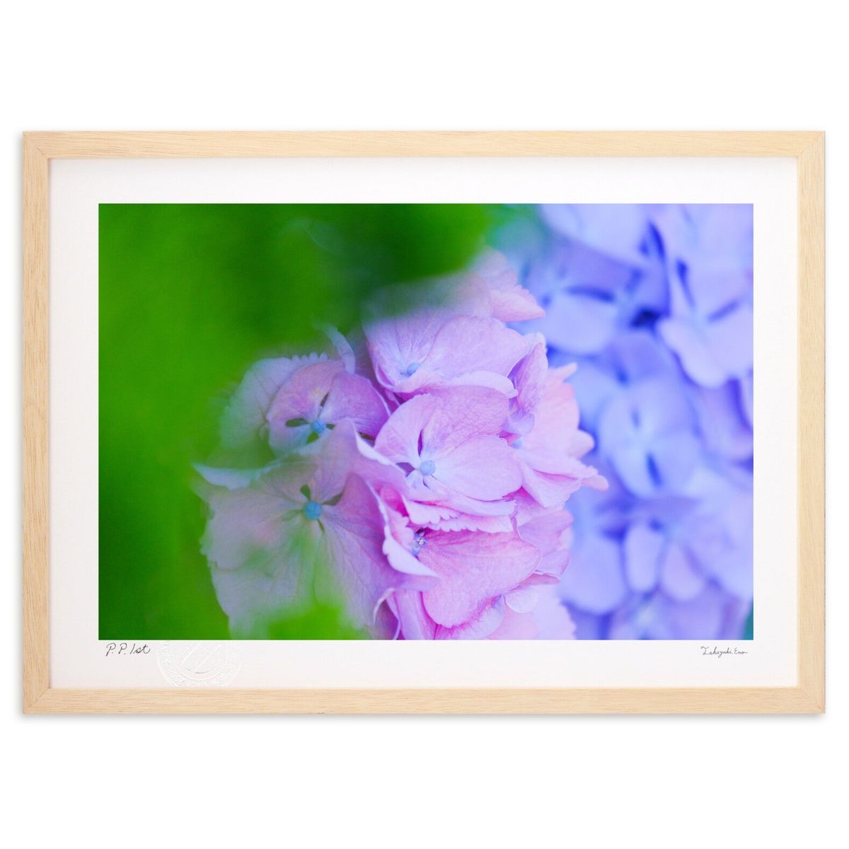 ڥѡSALEȾۡǲ īλ۲ (ɼ)ƥꥢ ɳݤ  ʲ ݥ  ӥ ؤ˾  ץ쥼  ...