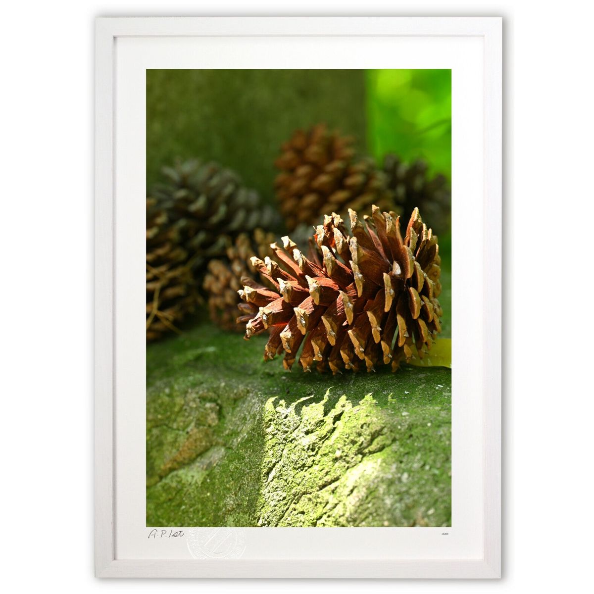 ڥѡSALEȾۡǲ ܤä (Ϥˤۤؤ)ƥꥢ ɳݤ  ʲ ݥ  ӥ ؤ˾  ץ쥼 ...