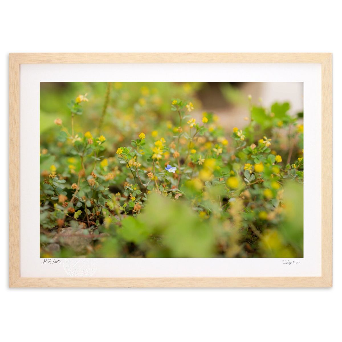 【スーパーSALE半額】版画 ぽつんと見つけた幸せ (なおと)インテリア 壁掛け 額入り 風景画 ポスター アート リビング 玄関に飾る 風水 プレゼント モダ...