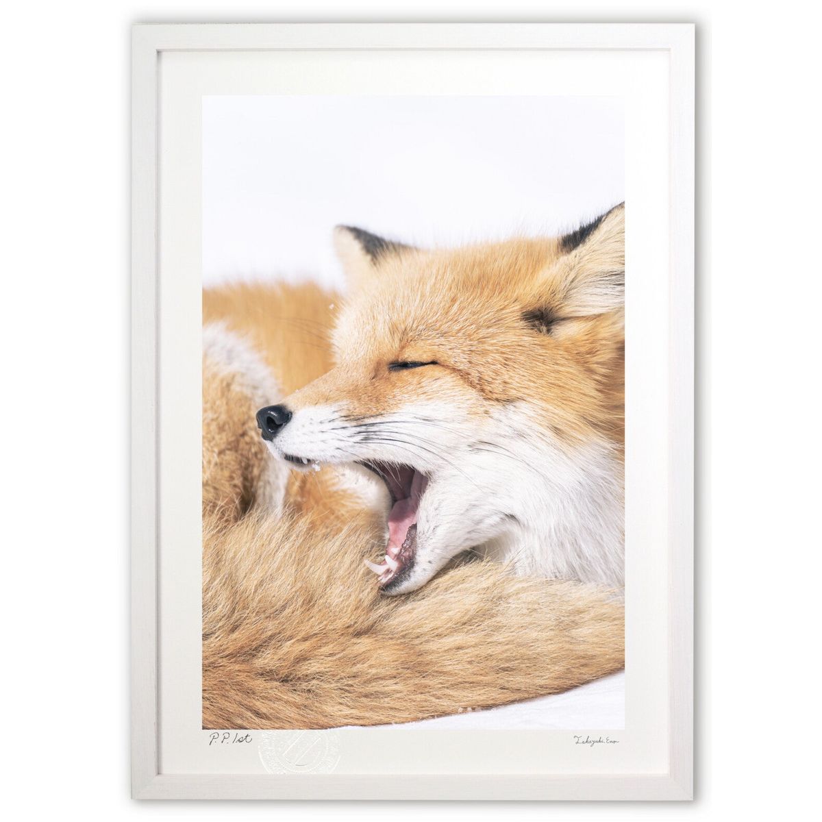 【スーパーSALE半額】版画 キタキツネ (岡本 圭司)インテリア 壁掛け 額入り 風景画 ポスター アート リビング 玄関に飾る 風水 プレゼント モダン ア...