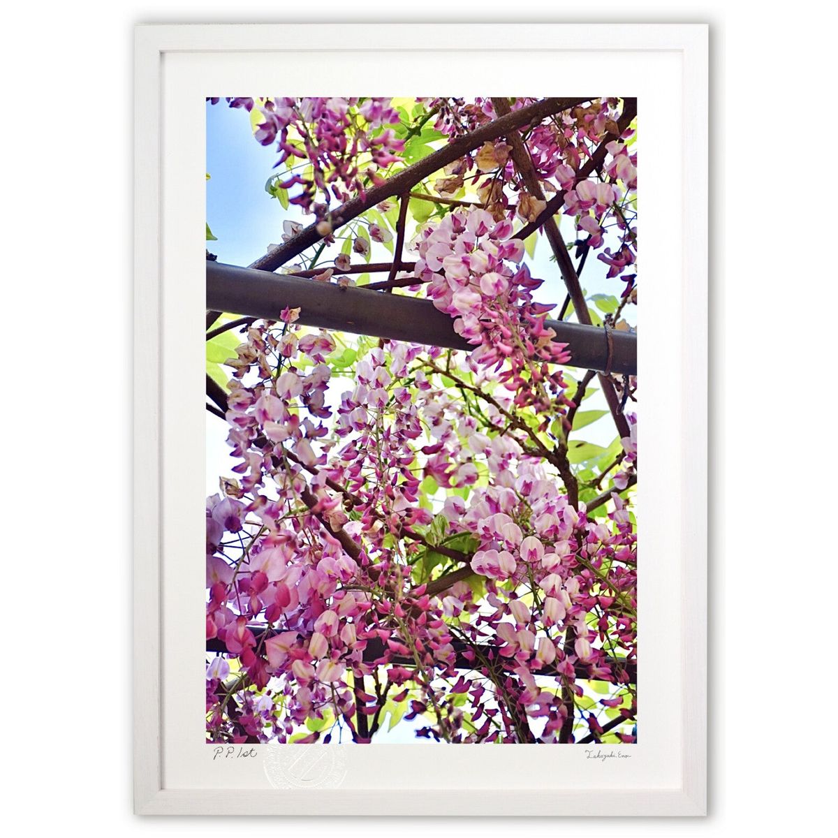 ڥѡSALEȾۡǲ ԥ󥯿ƣ (mitan)ƥꥢ ɳݤ  ʲ ݥ  ӥ ؤ˾  ץ쥼  ...